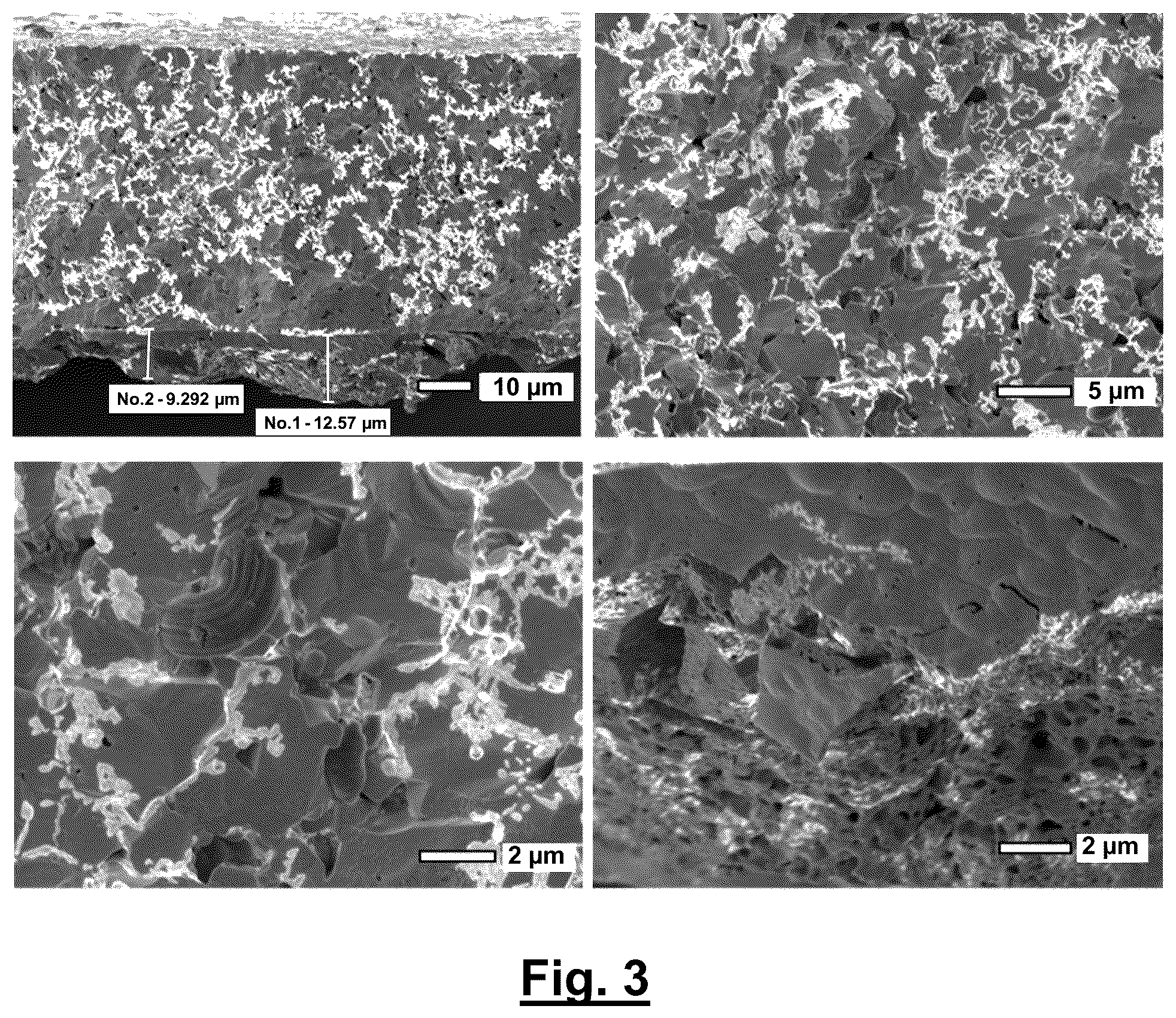 Patent US12327871 Figure 2 – Polymer precursors for solid state electrolytes