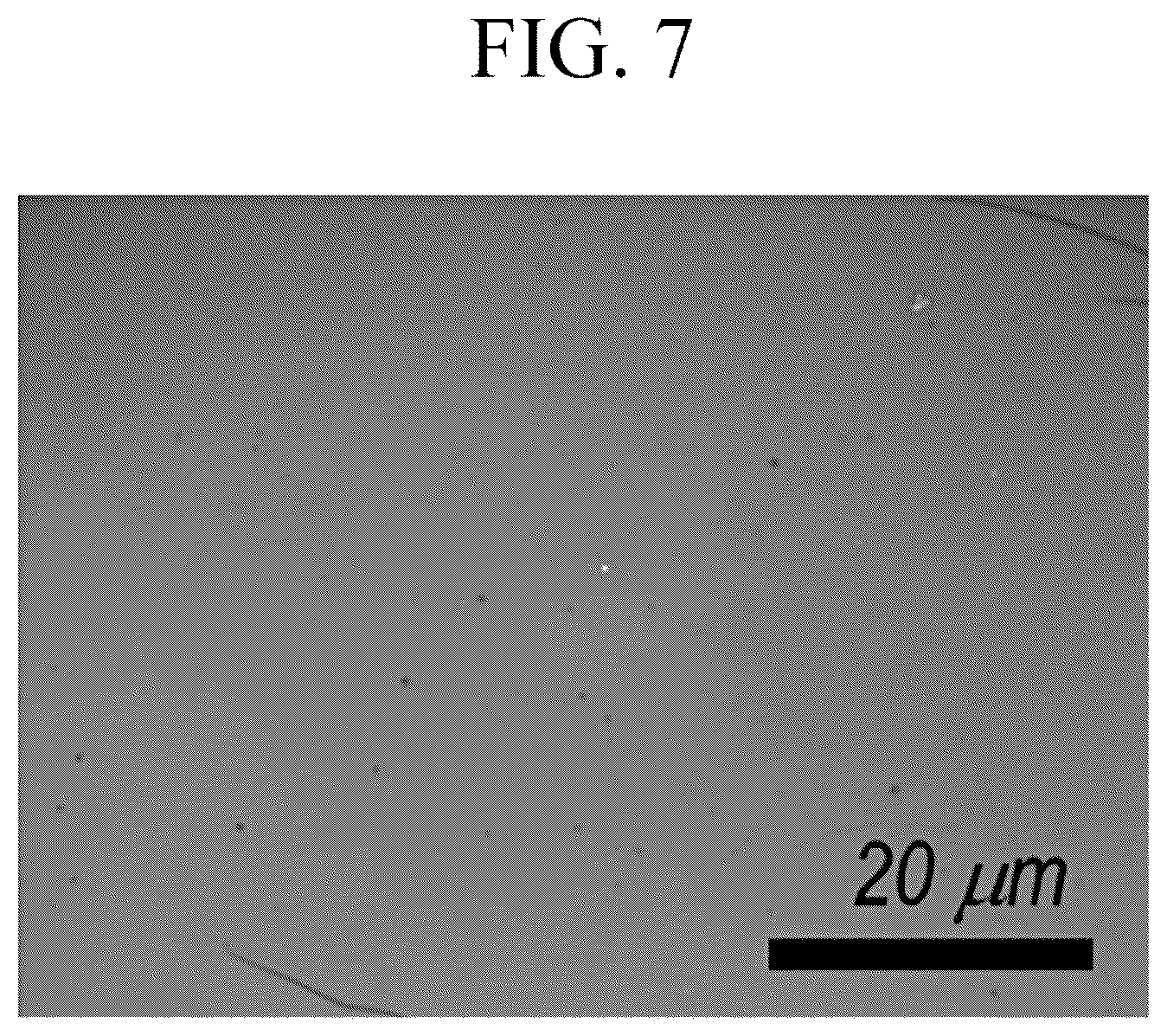 Patent US12329023 Figure 5 – Polymer and stretchable polymer thin film and electronic device