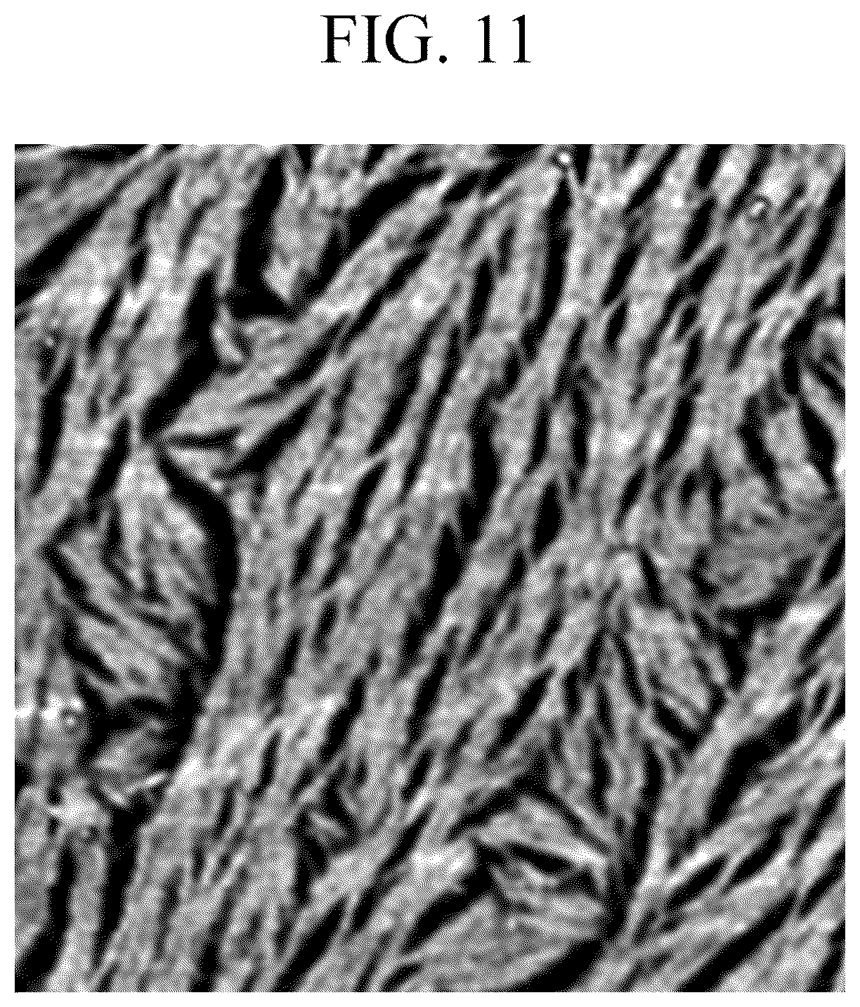 Patent US12329023 Figure 9 – Polymer and stretchable polymer thin film and electronic device