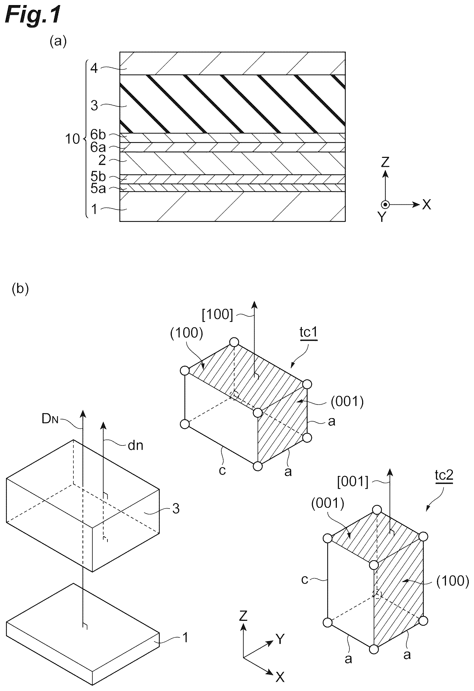 Patent US12329036 Figure 1 – Dielectric thin film, dielectric thin film element, piezoelectric actuator, piezoelectric sensor, head assembly, head stack assembly, hard disk drive, printer head and inkjet printer device