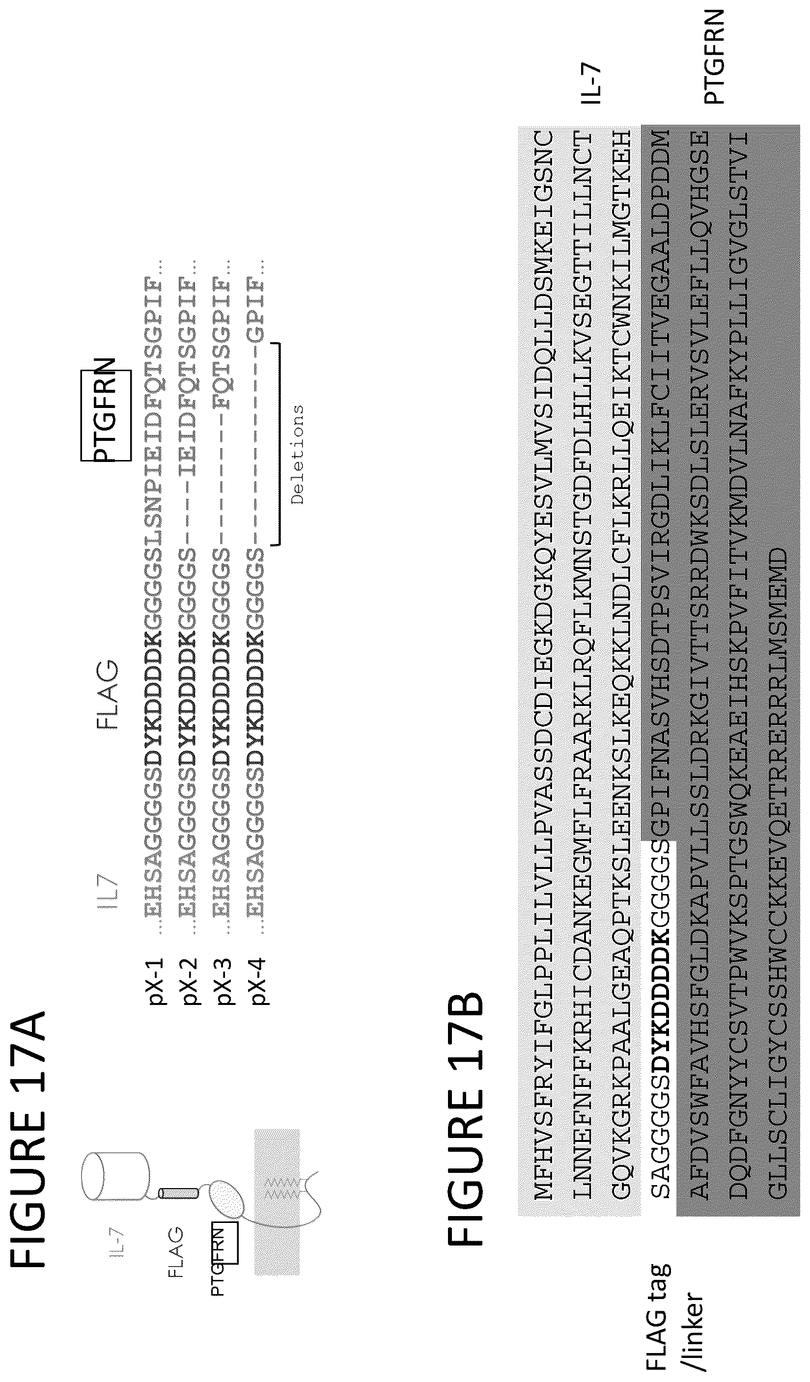 Patent US12331100 Figure 17 – Exosomes for immuno-oncology and anti-inflammatory therapy
