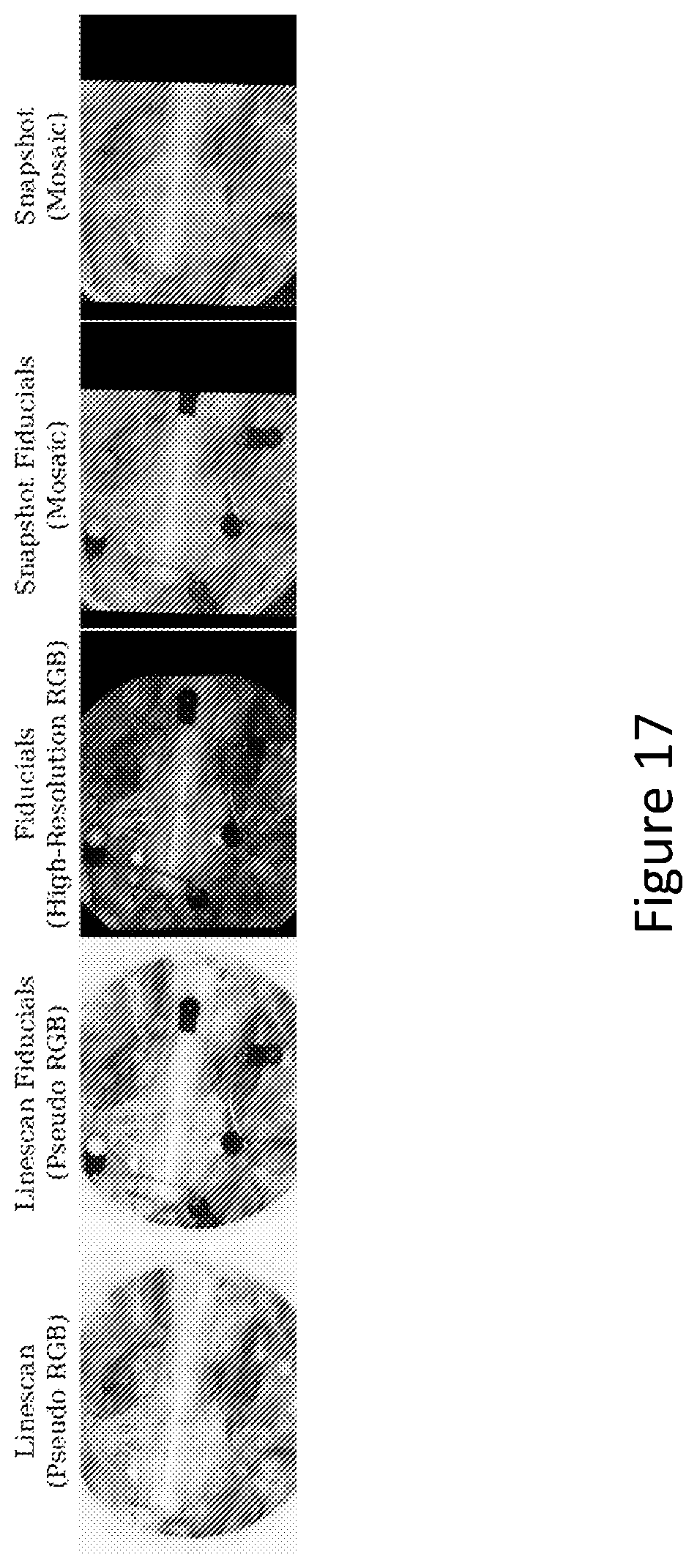 Patent US12332117 Figure 17 – Method and system for joint demosaicking and spectral signature estimation