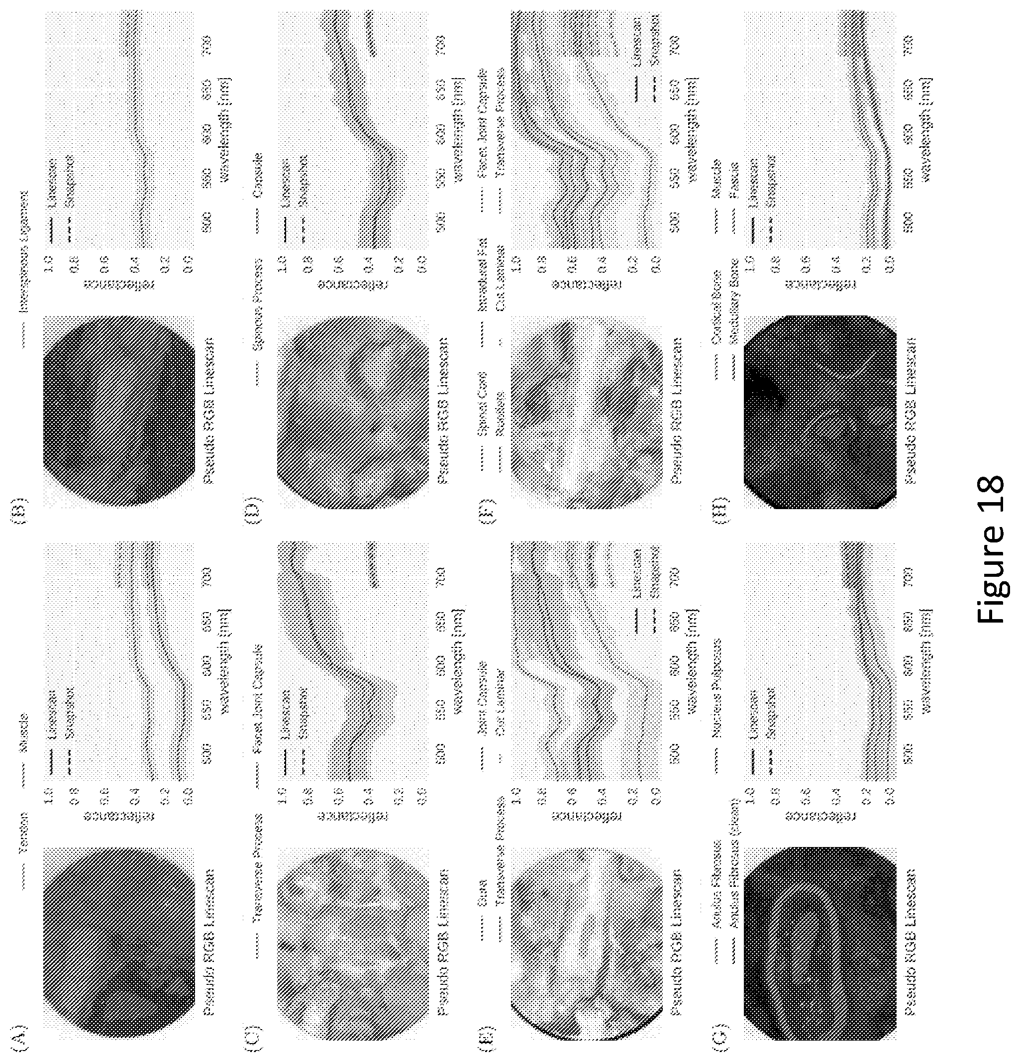 Patent US12332117 Figure 18 – Method and system for joint demosaicking and spectral signature estimation