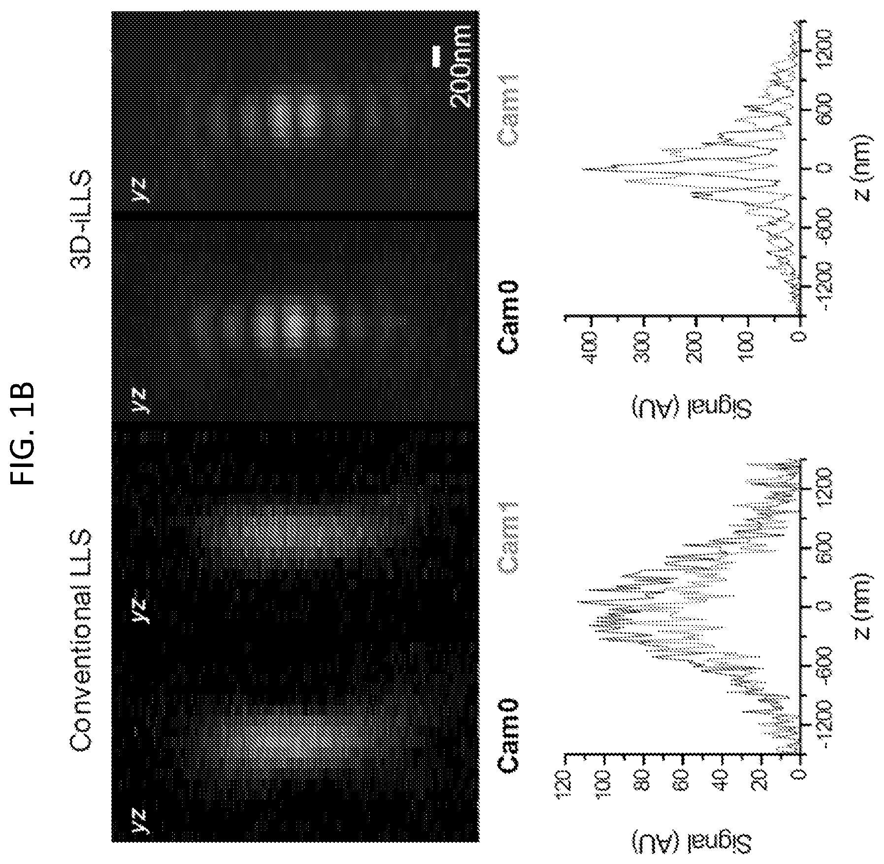 Patent US12332177 Figure 2 – 3D interferometric lattice light-sheet imaging