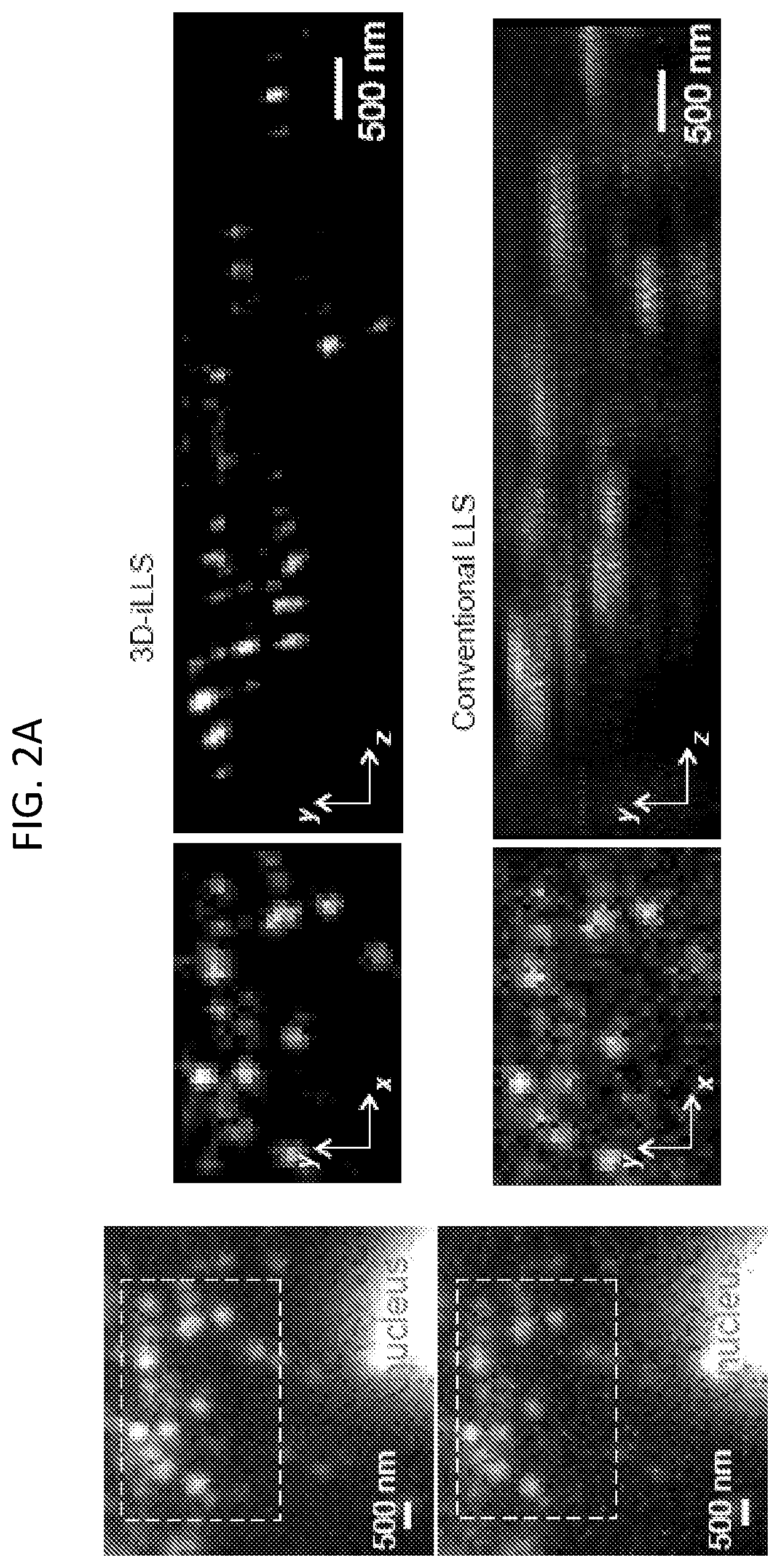 Patent US12332177 Figure 3 – 3D interferometric lattice light-sheet imaging