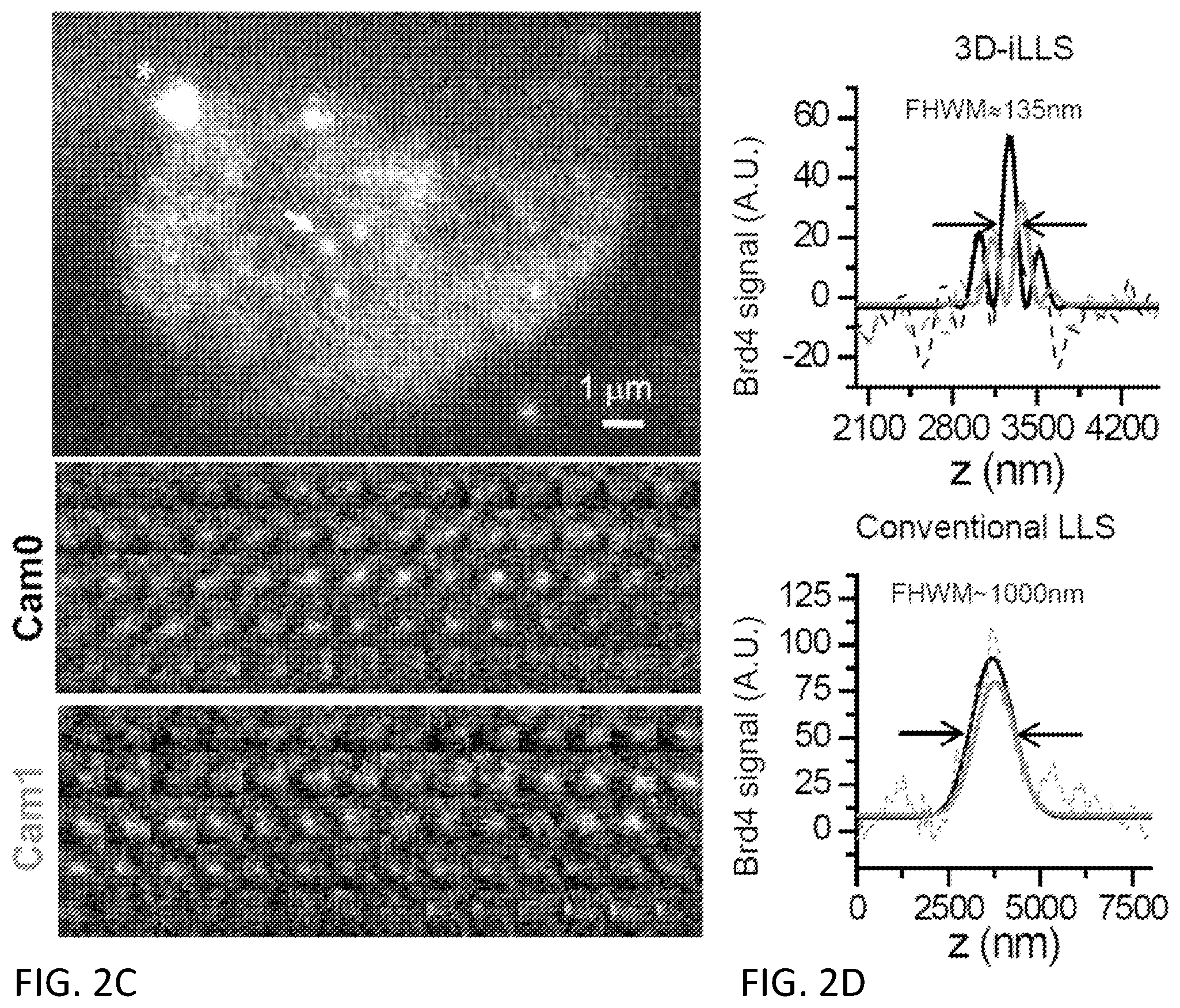 Patent US12332177 Figure 5 – 3D interferometric lattice light-sheet imaging