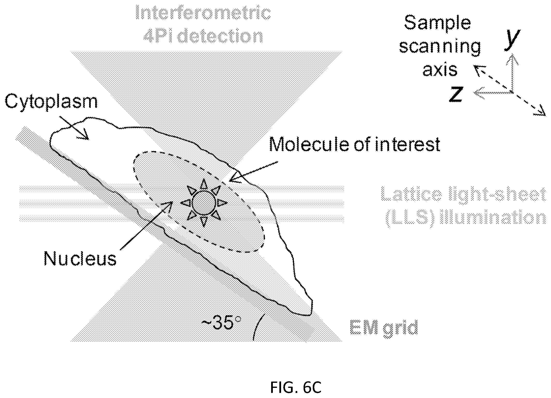 Patent US12332177 Figure 14 – 3D interferometric lattice light-sheet imaging