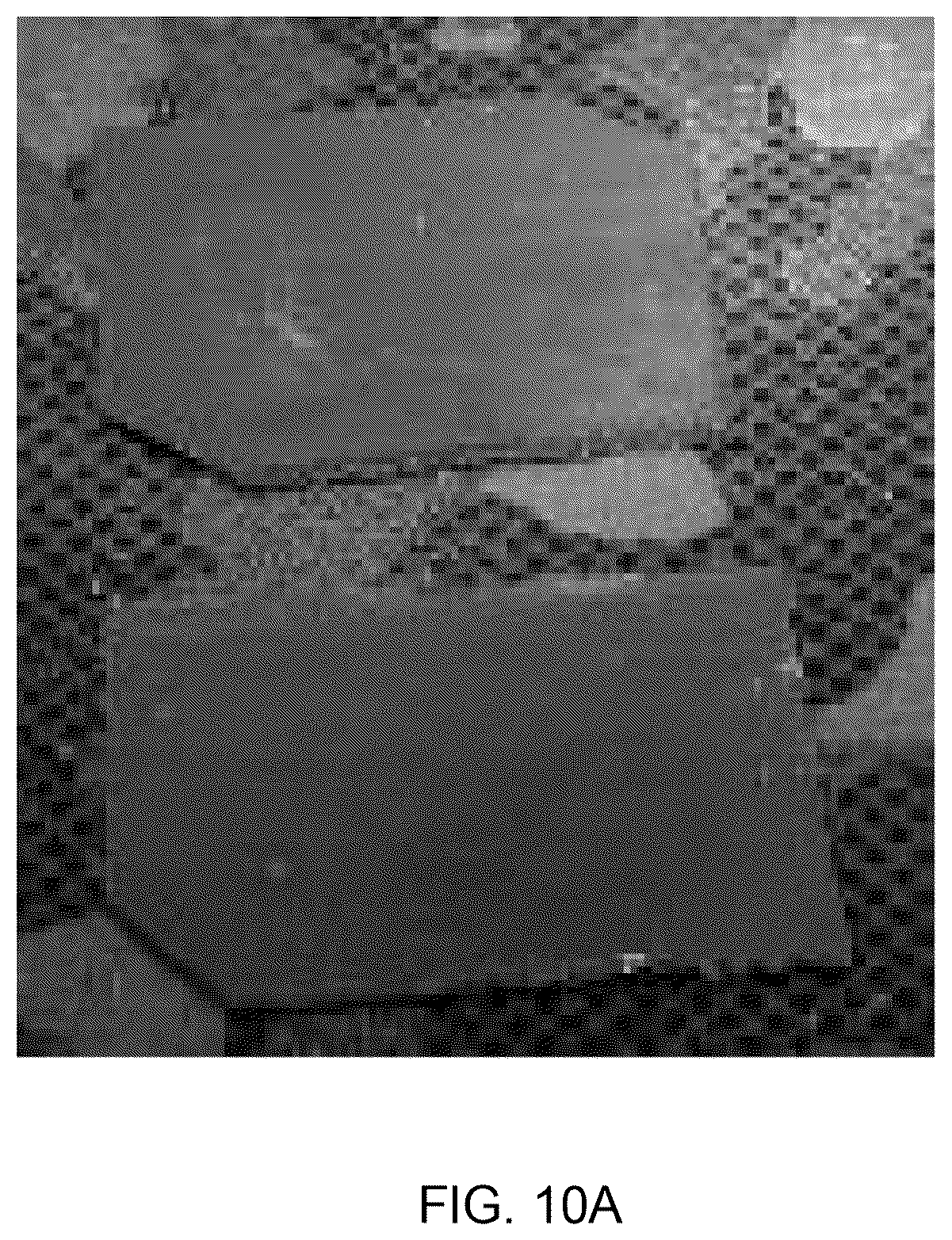 Patent US12332180 Figure 11 – Antimicrobial surface coating formation, detection, quantification and reactivation systems and methods
