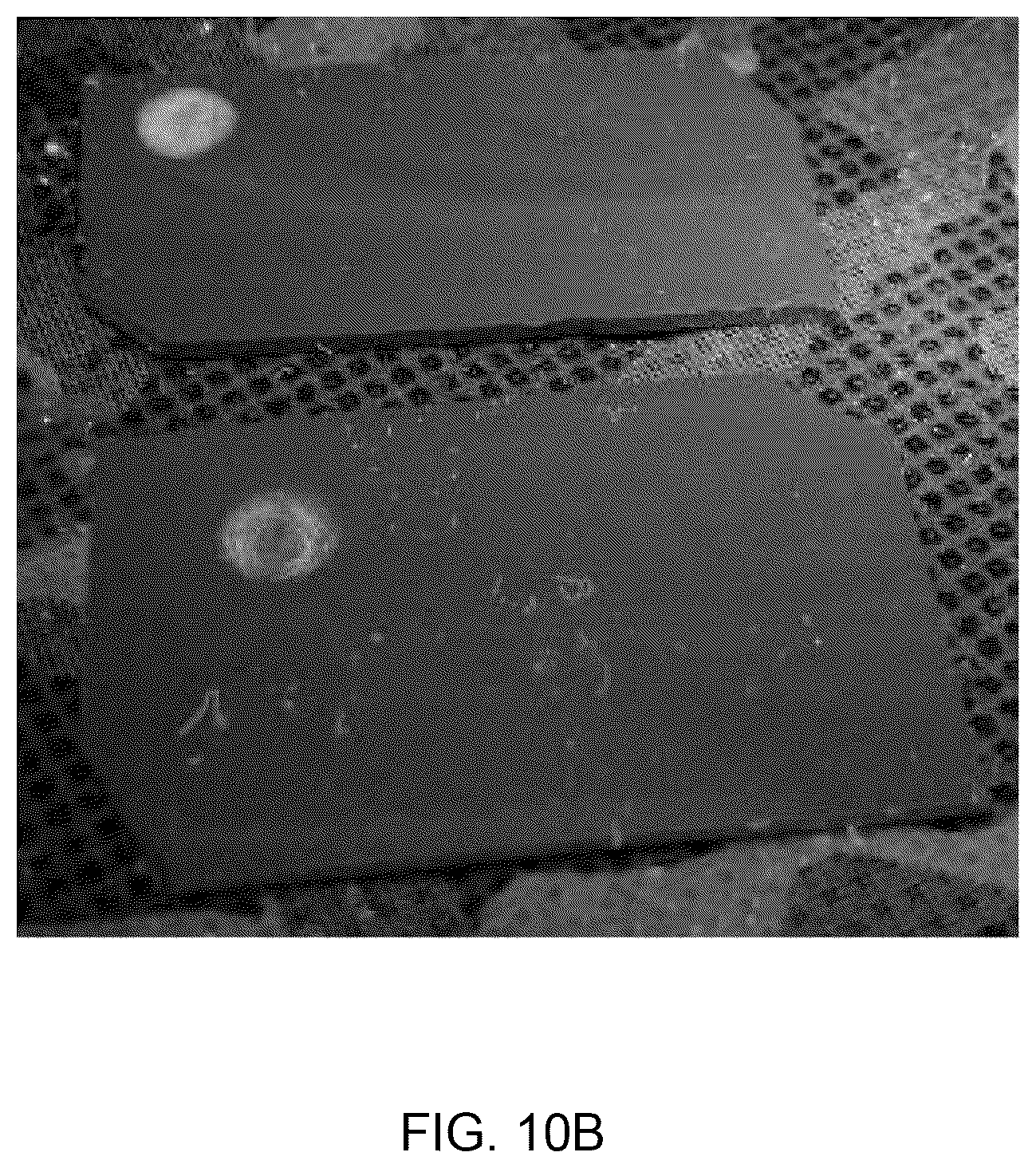 Patent US12332180 Figure 12 – Antimicrobial surface coating formation, detection, quantification and reactivation systems and methods