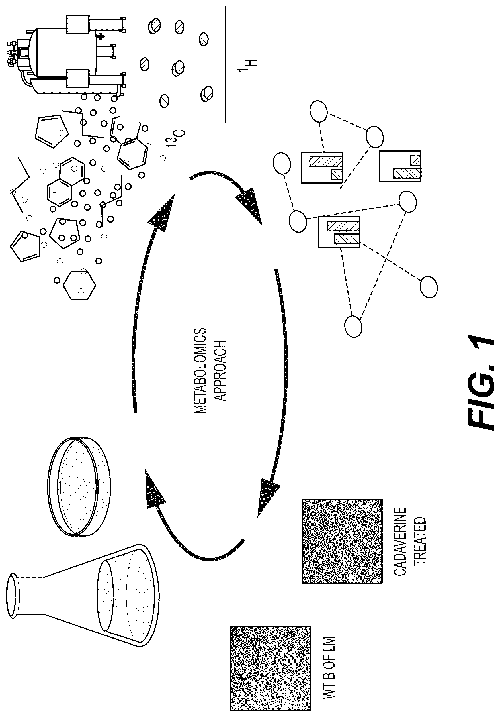 Patent US12332198 Figure 1 – Metabolite based diagnostics for periprosthetic joint infection