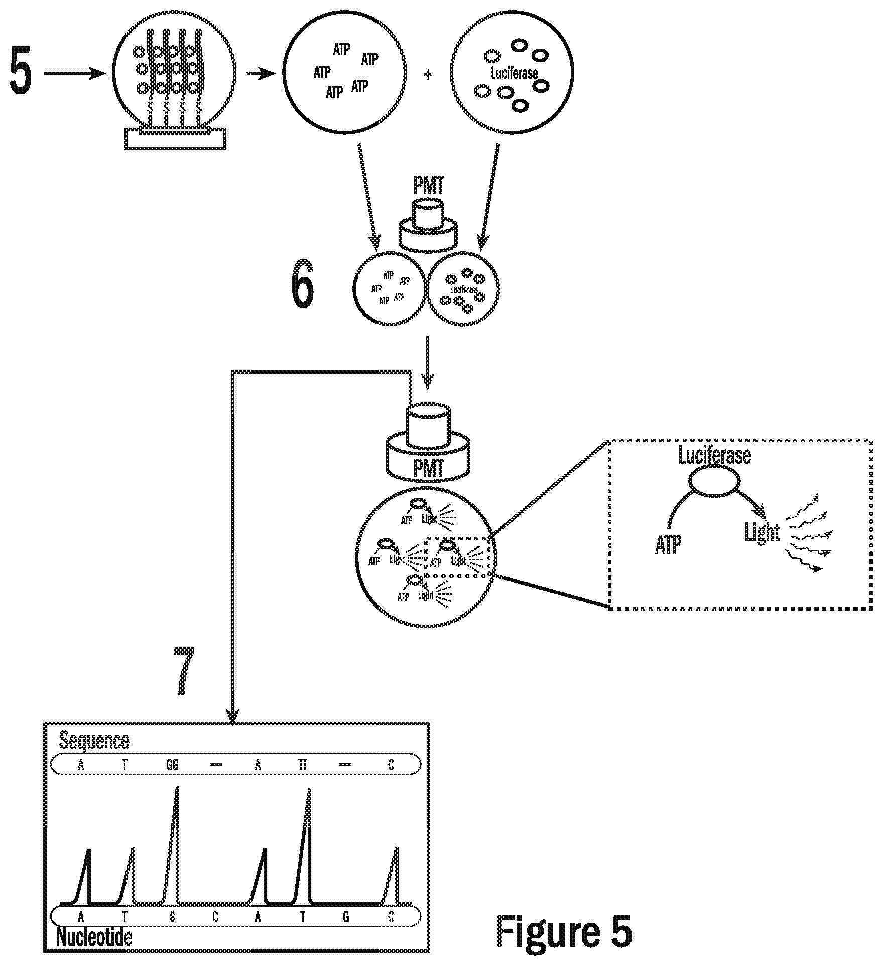 Patent US12332205 Figure 5 – Droplet-based surface modification and washing