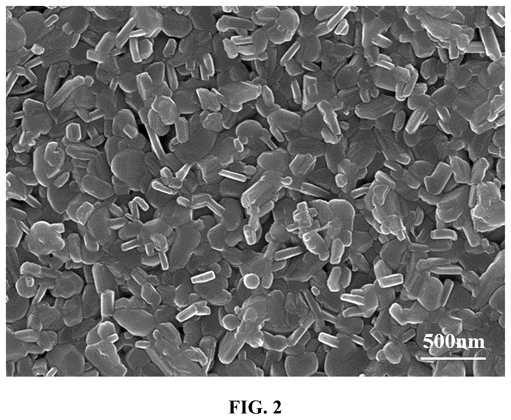 Patent US12332207 Figure 2 – CuV 2 O 6 -based photoelectric sensor and application thereof in detection of arginine