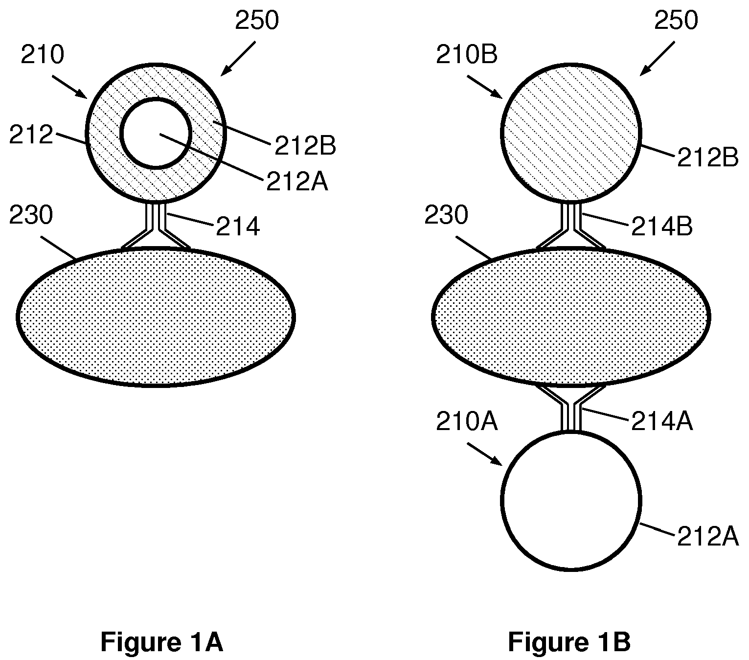 Patent US12332238 Figure 1 – Extraction and detection of pathogens using carbohydrate-functionalized biosensors
