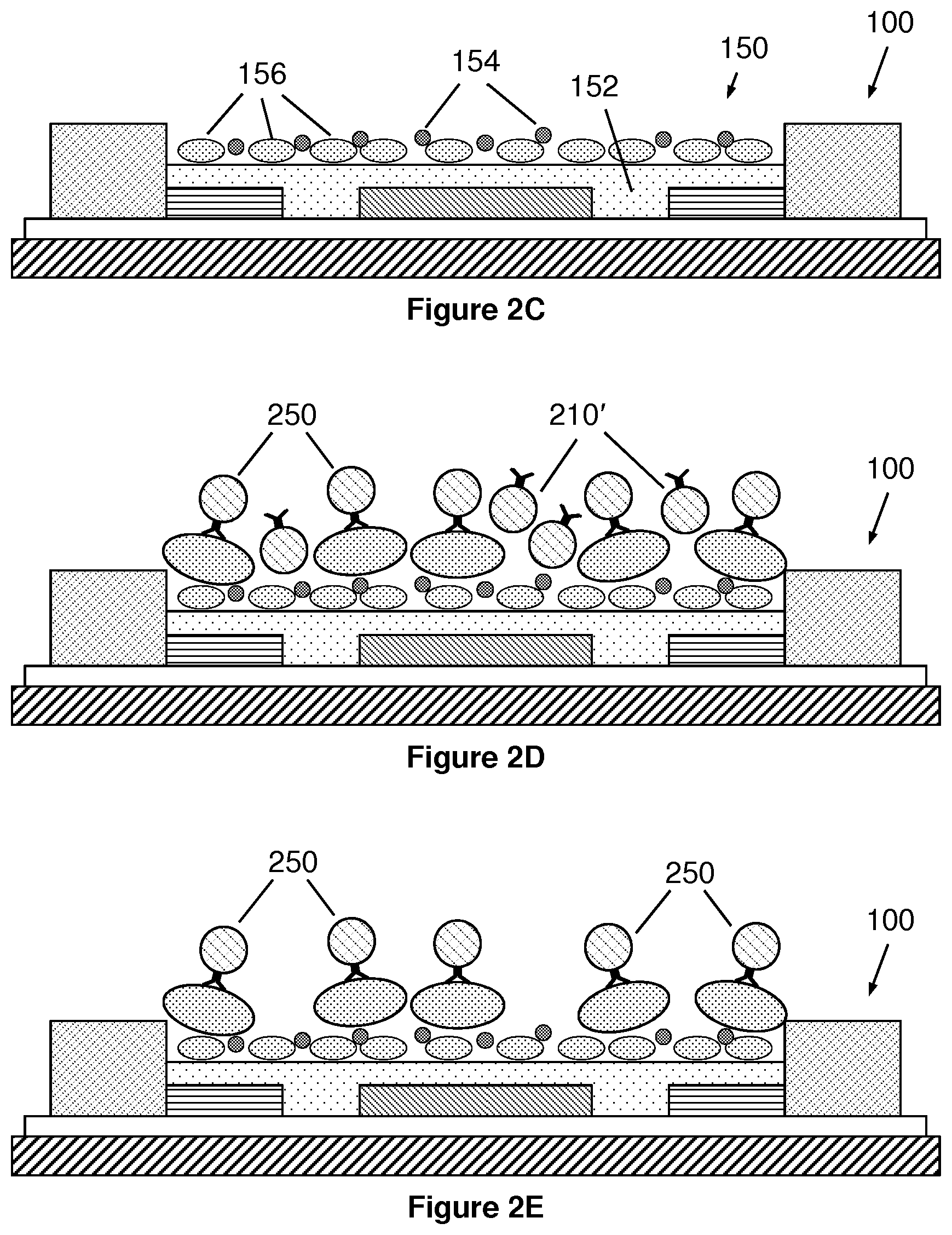 Patent US12332238 Figure 4 – Extraction and detection of pathogens using carbohydrate-functionalized biosensors