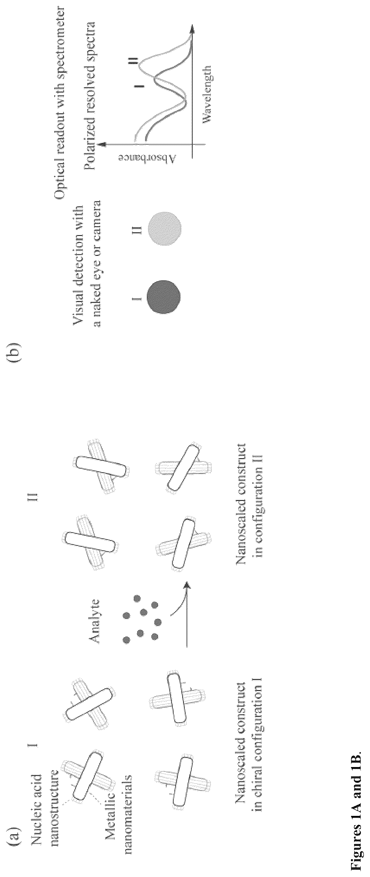 Patent US12332240 Figure 1 – Colorimetric sensing with reconfigurable chiral plasmonic structures and a method for detecting analytes in samples using the same