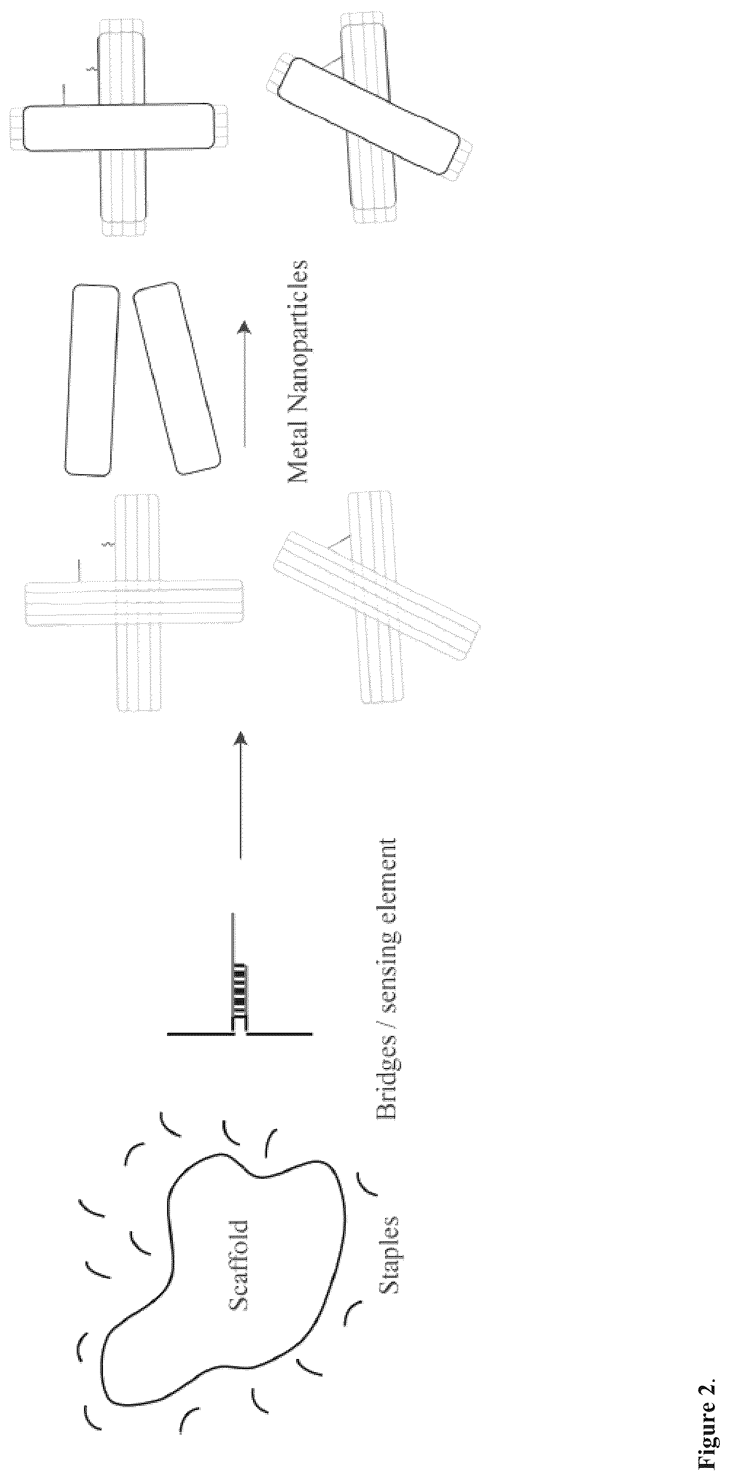 Patent US12332240 Figure 2 – Colorimetric sensing with reconfigurable chiral plasmonic structures and a method for detecting analytes in samples using the same