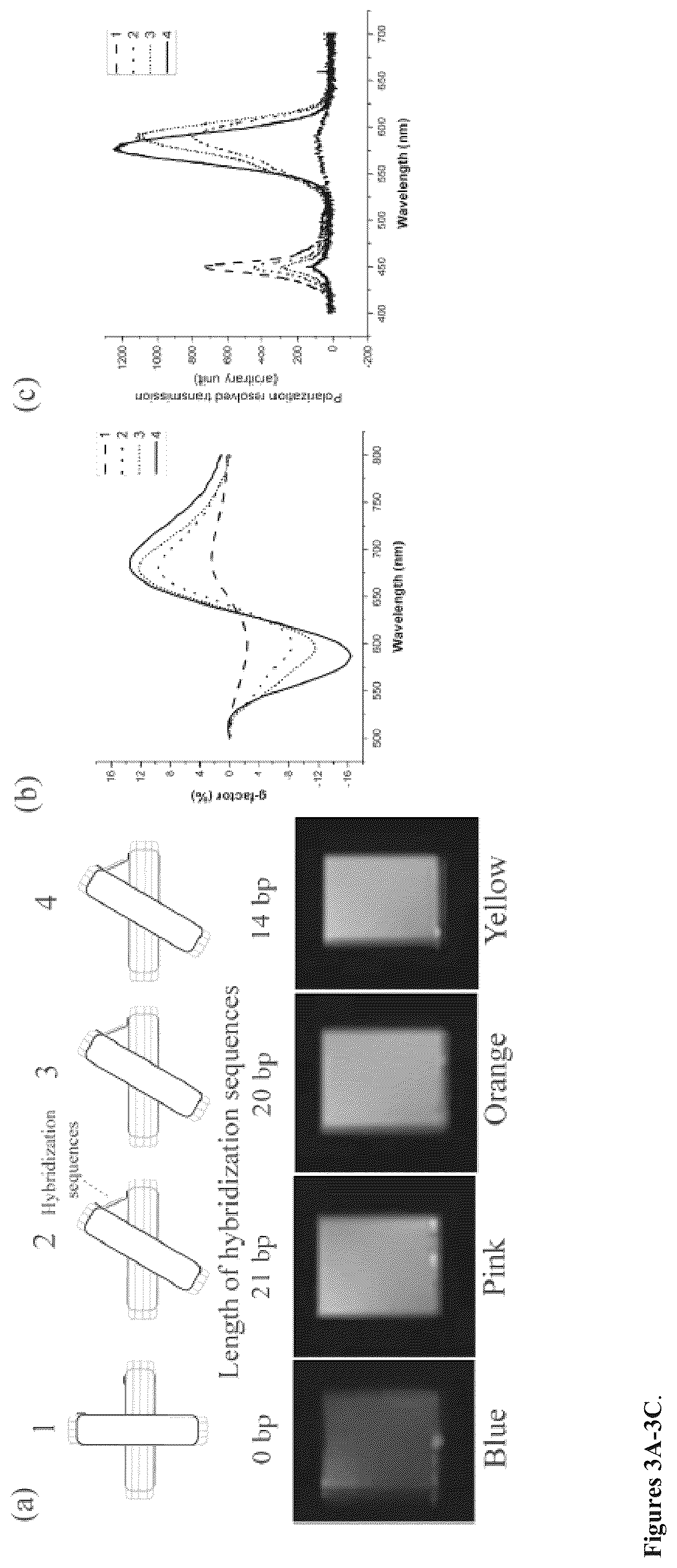 Patent US12332240 Figure 3 – Colorimetric sensing with reconfigurable chiral plasmonic structures and a method for detecting analytes in samples using the same