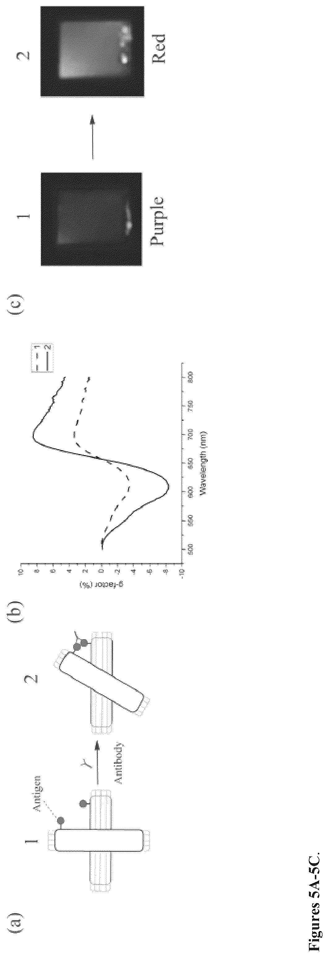 Patent US12332240 Figure 5 – Colorimetric sensing with reconfigurable chiral plasmonic structures and a method for detecting analytes in samples using the same