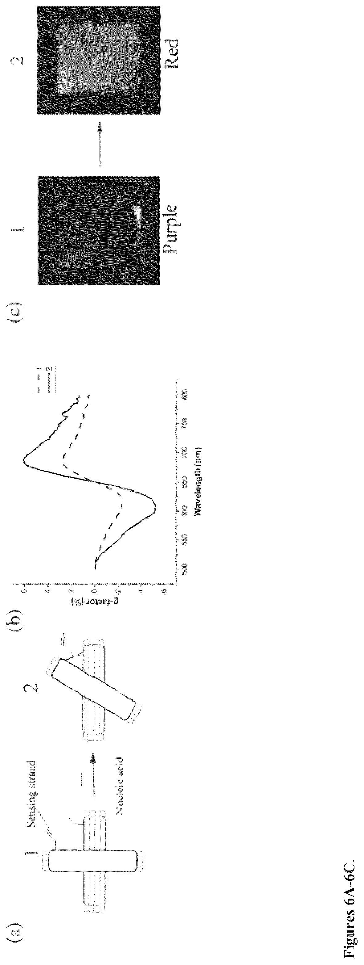 Patent US12332240 Figure 6 – Colorimetric sensing with reconfigurable chiral plasmonic structures and a method for detecting analytes in samples using the same