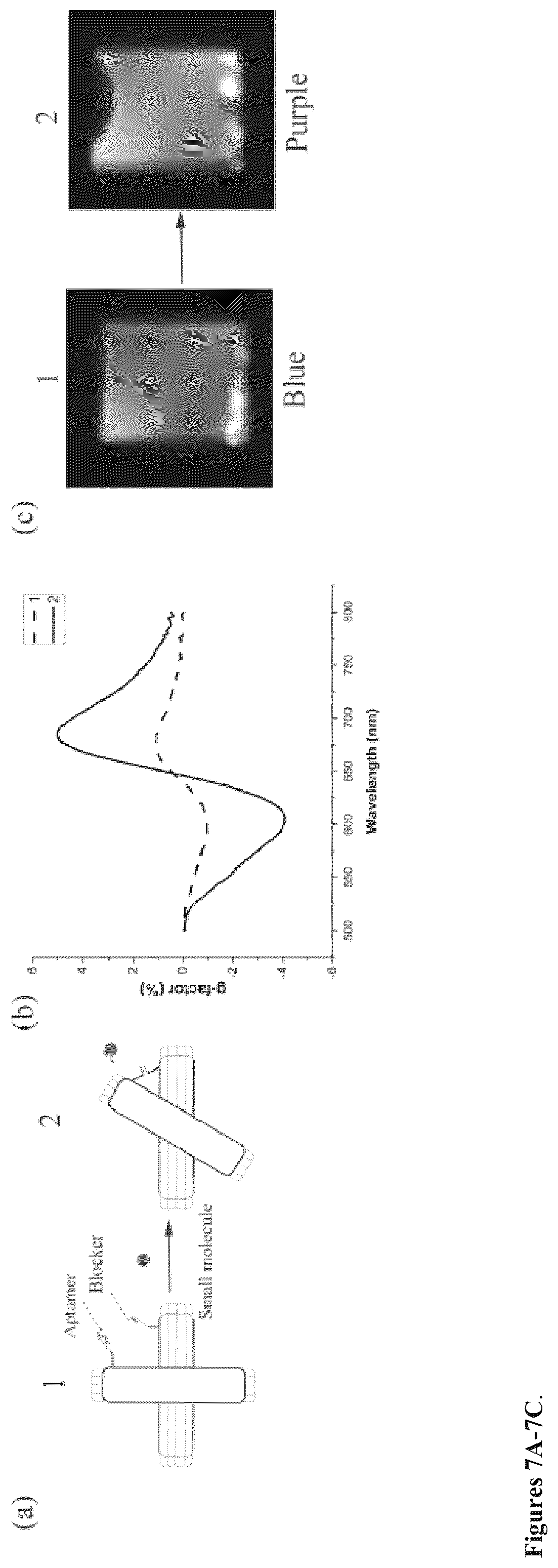 Patent US12332240 Figure 7 – Colorimetric sensing with reconfigurable chiral plasmonic structures and a method for detecting analytes in samples using the same