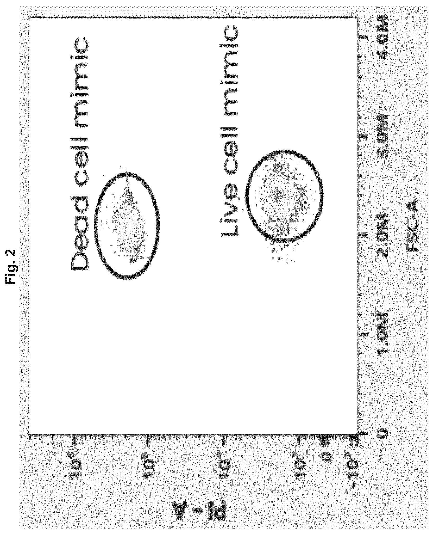Patent US12332241 Figure 2 – Apoptotic cell mimic