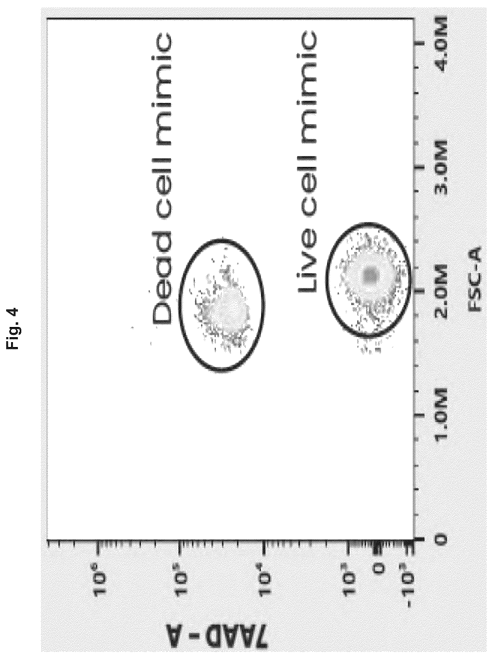 Patent US12332241 Figure 4 – Apoptotic cell mimic