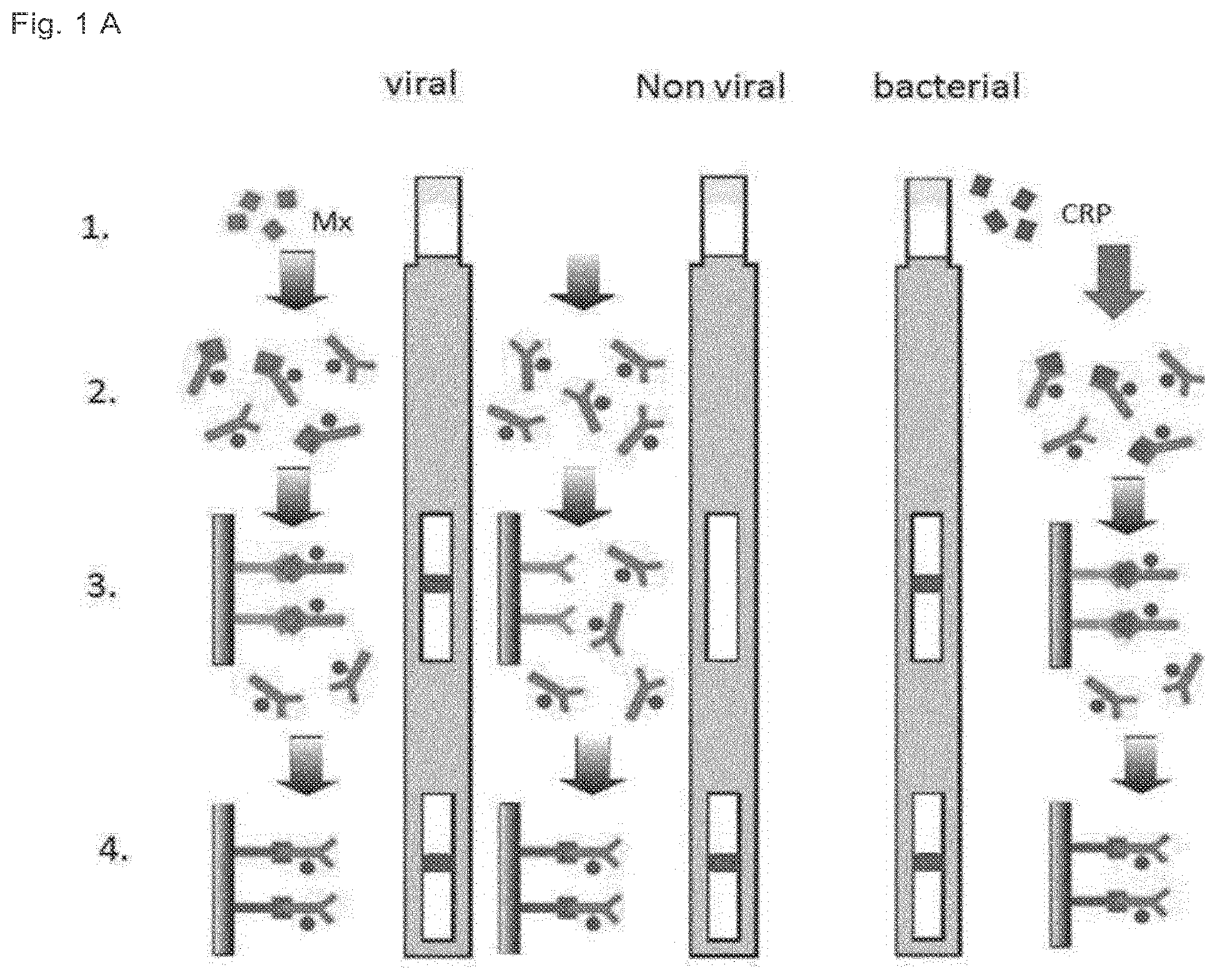 Patent US12332242 Figure 1 – Method and device for discriminating between viral and bacterial infections