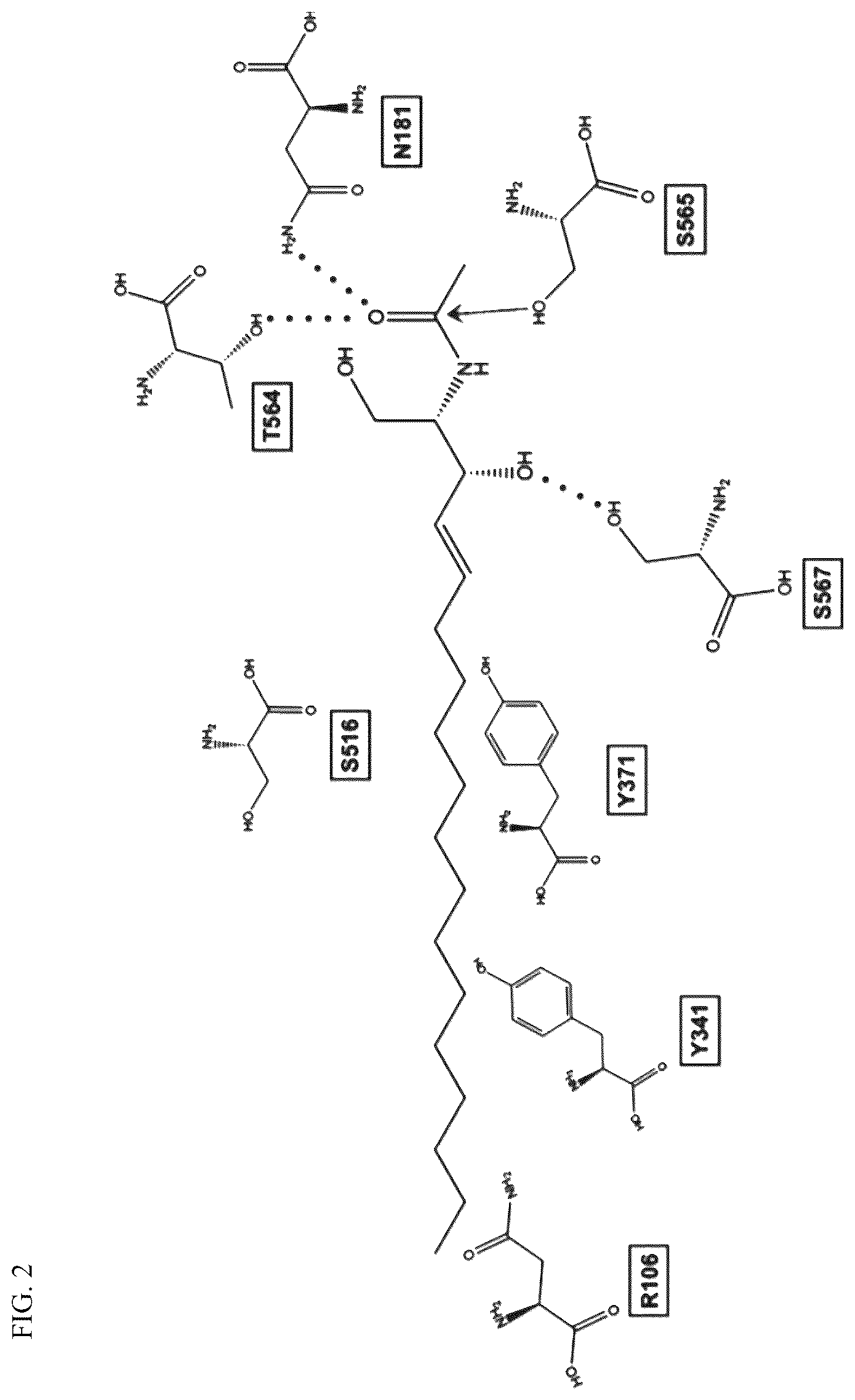 Patent US12332244 Figure 2 – Composition for diagnosing diseases associated with COX2 overexpression and screening method therefor