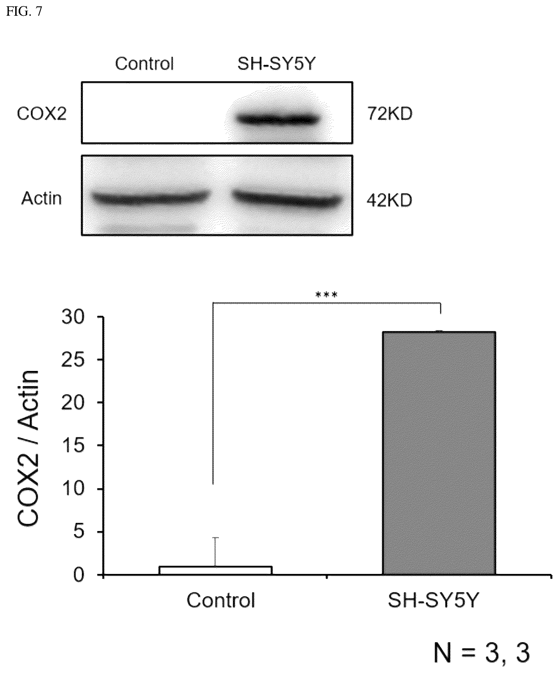 Patent US12332244 Figure 8 – Composition for diagnosing diseases associated with COX2 overexpression and screening method therefor
