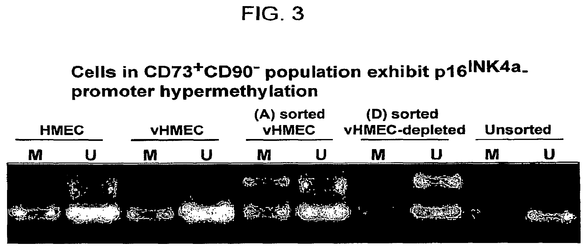 Patent US12332245 Figure 3 – Cancer biomarkers and methods of use thereof