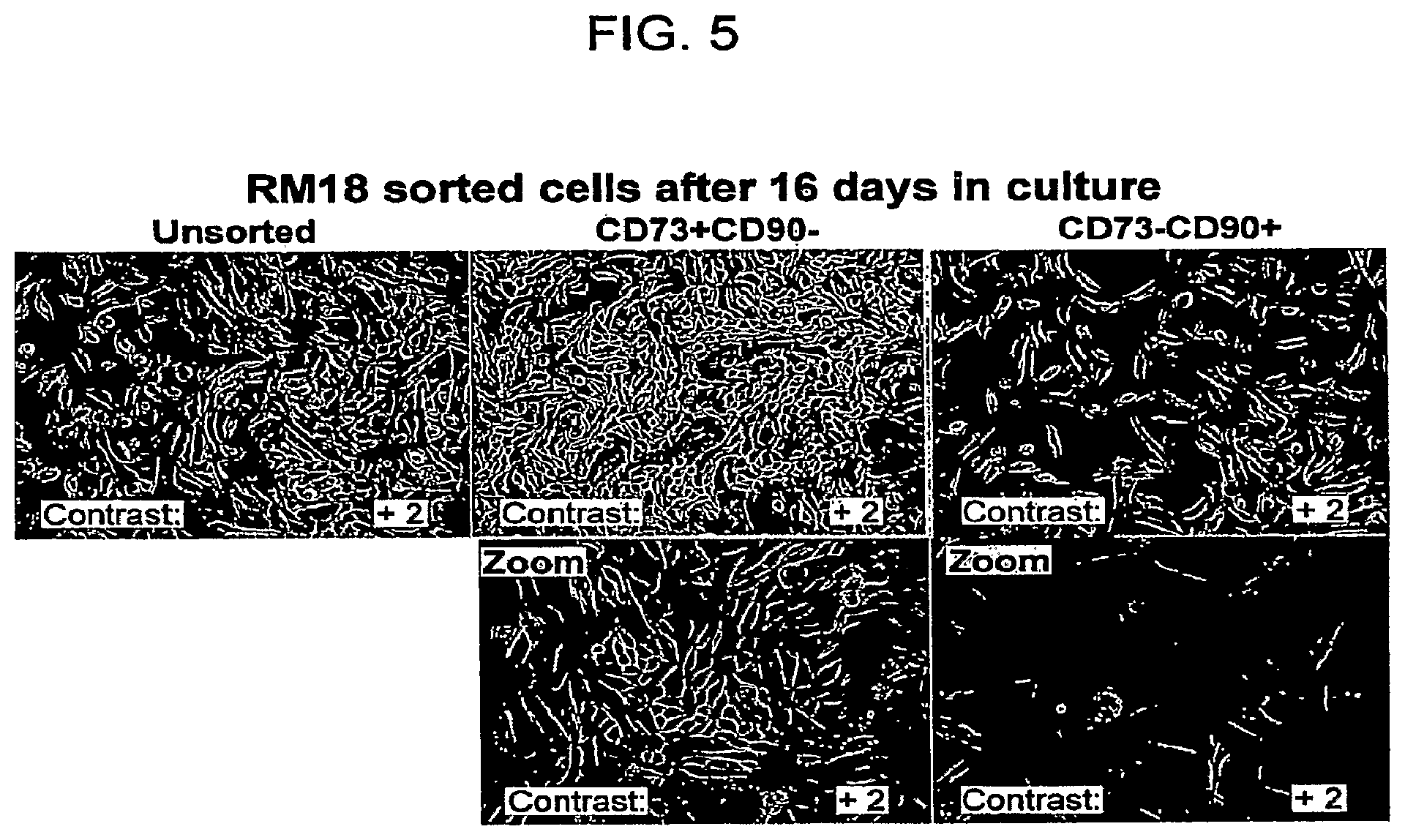 Patent US12332245 Figure 5 – Cancer biomarkers and methods of use thereof