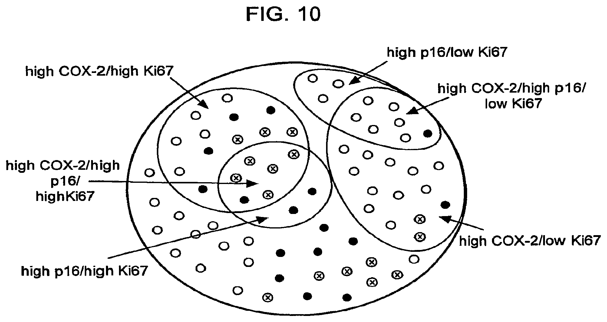 Patent US12332245 Figure 10 – Cancer biomarkers and methods of use thereof