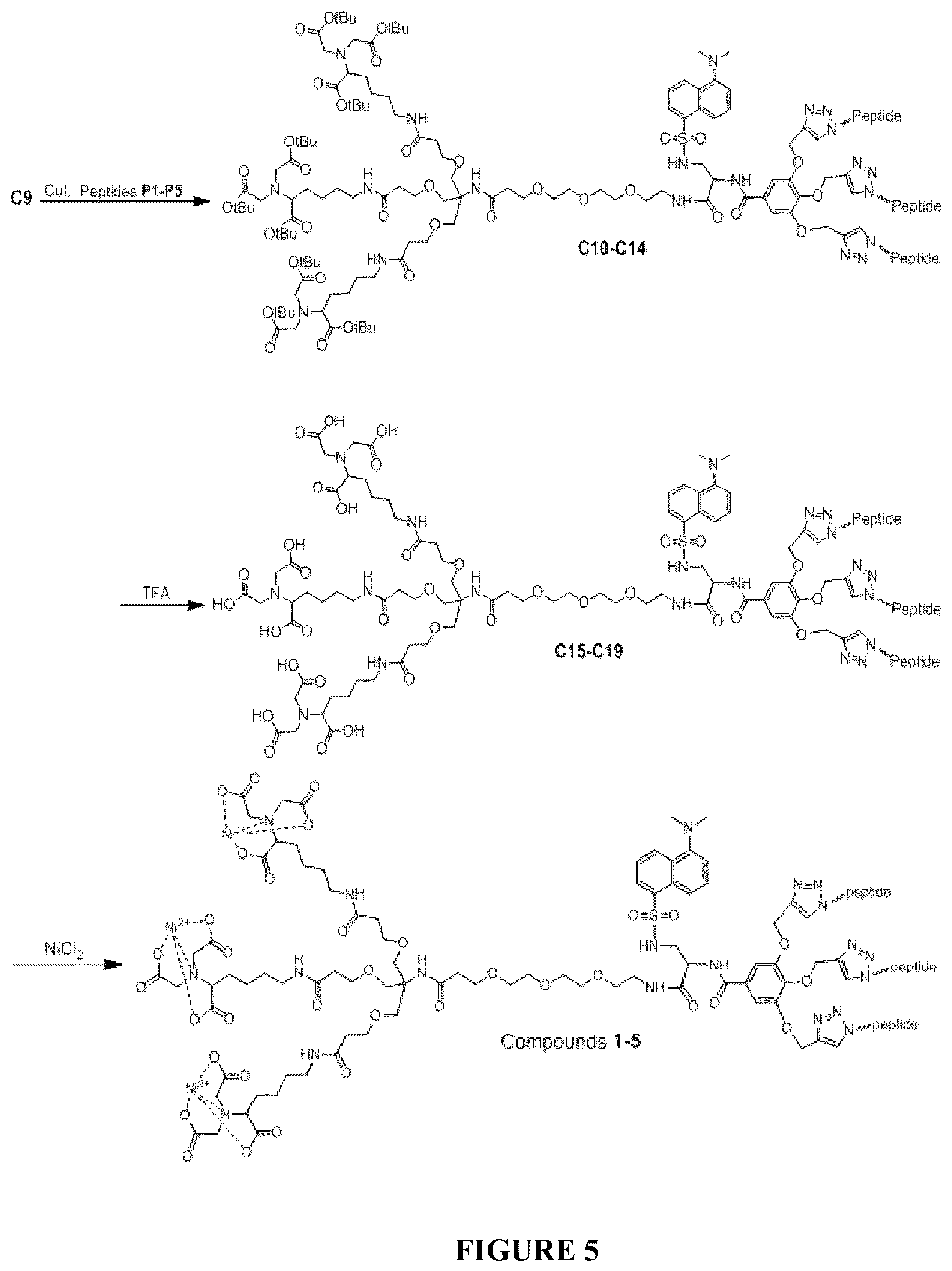 Patent US12332246 Figure 5 – Quinoline based cyanine dye turn-on fluorescent probes and methods of use thereof