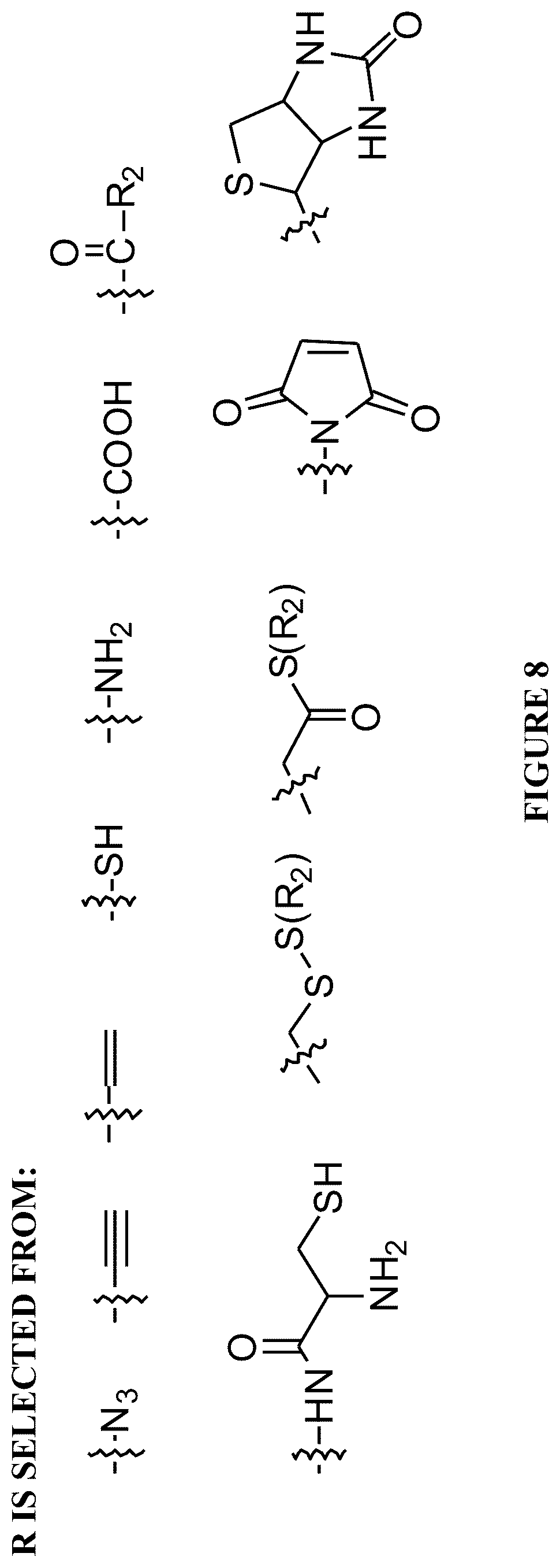Patent US12332246 Figure 8 – Quinoline based cyanine dye turn-on fluorescent probes and methods of use thereof