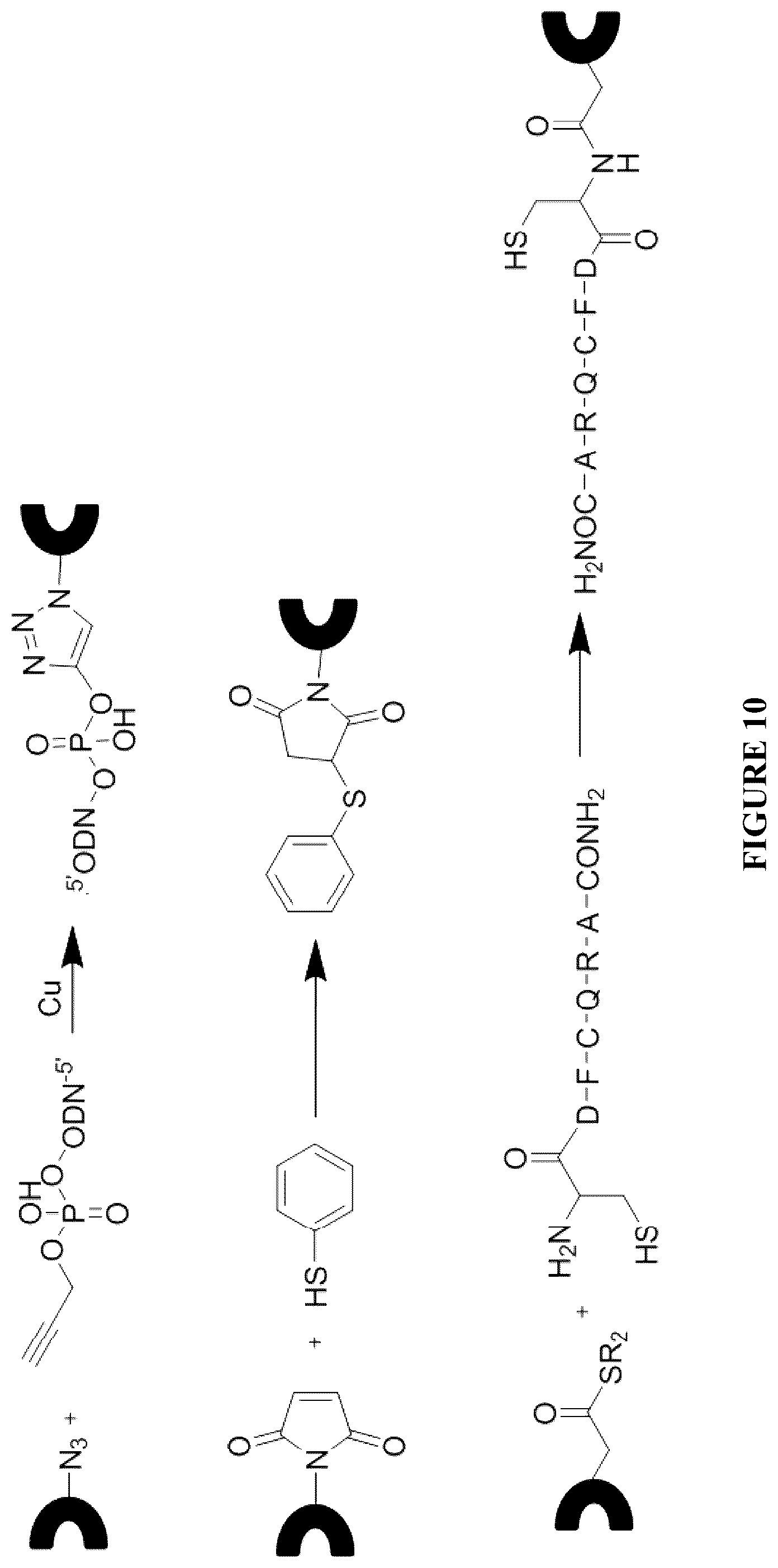 Patent US12332246 Figure 10 – Quinoline based cyanine dye turn-on fluorescent probes and methods of use thereof