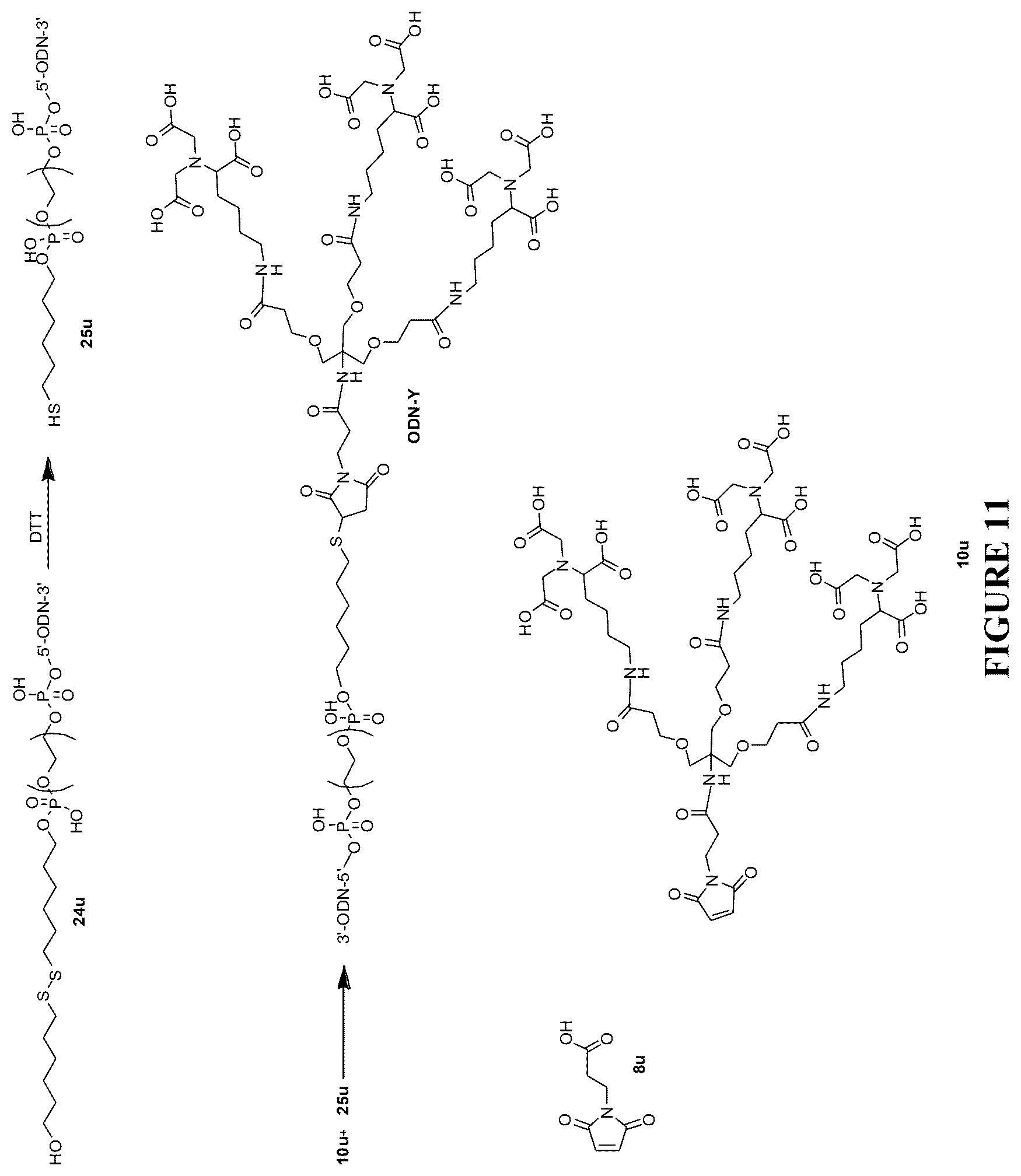 Patent US12332246 Figure 11 – Quinoline based cyanine dye turn-on fluorescent probes and methods of use thereof