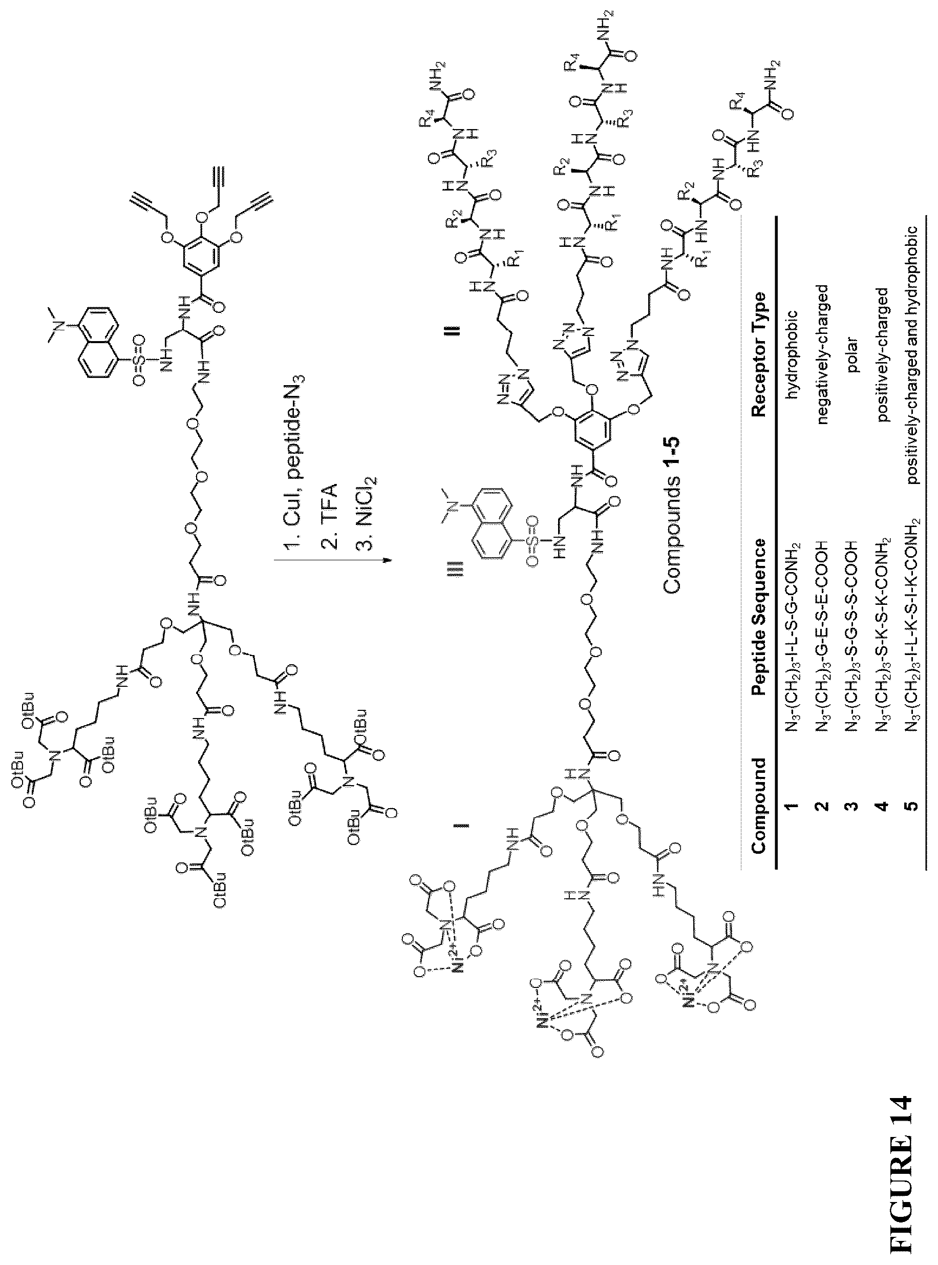 Patent US12332246 Figure 14 – Quinoline based cyanine dye turn-on fluorescent probes and methods of use thereof