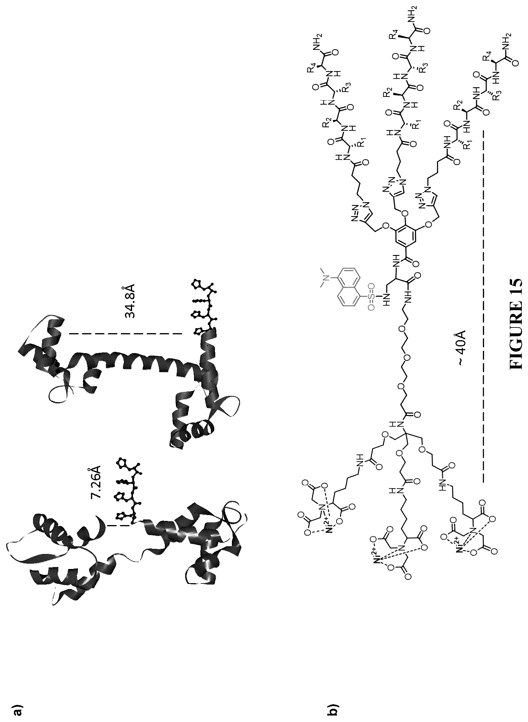Patent US12332246 Figure 15 – Quinoline based cyanine dye turn-on fluorescent probes and methods of use thereof