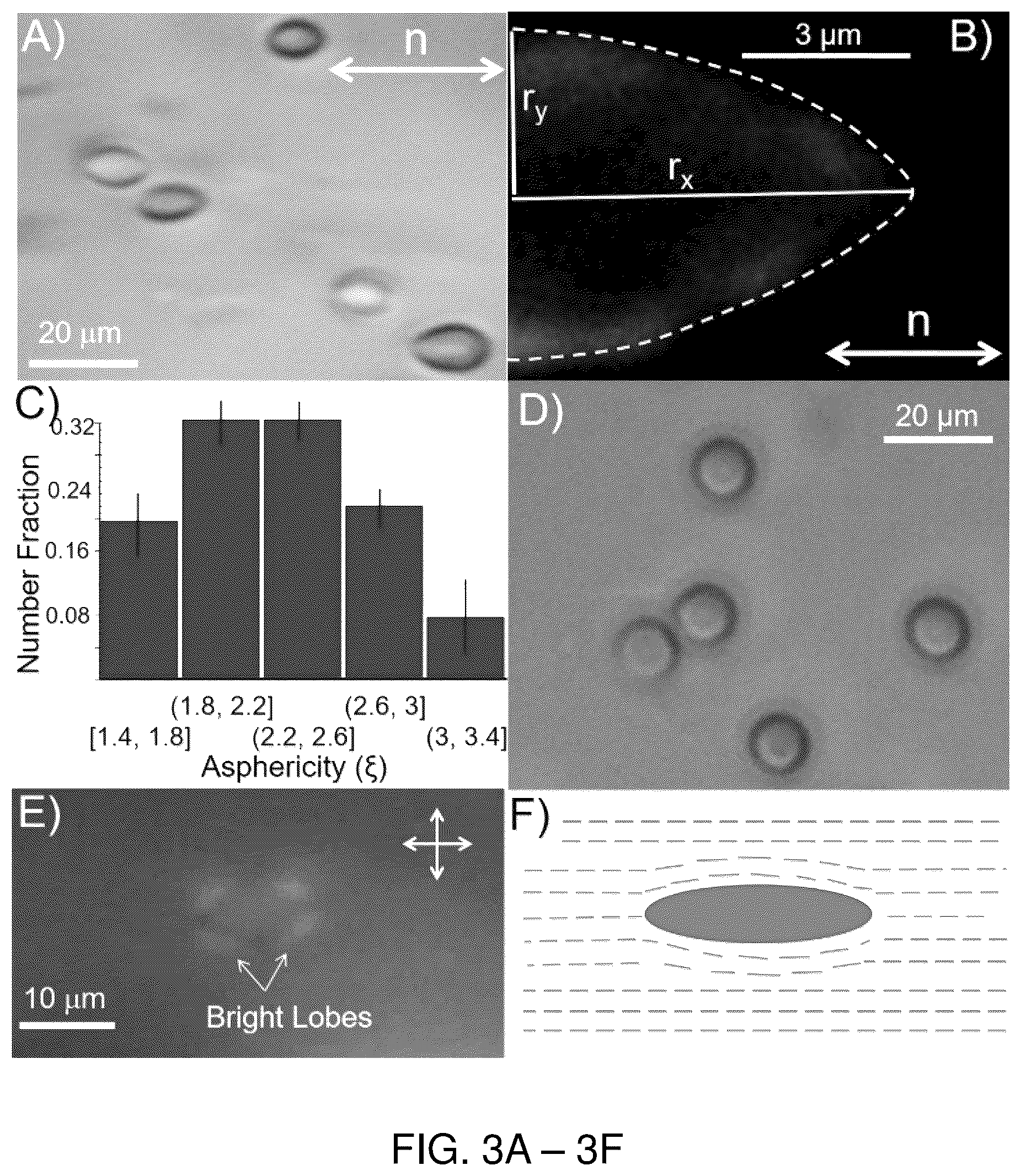Patent US12332254 Figure 3 – Systems, compositions, and methods for evaluating biomechanical properties of cells