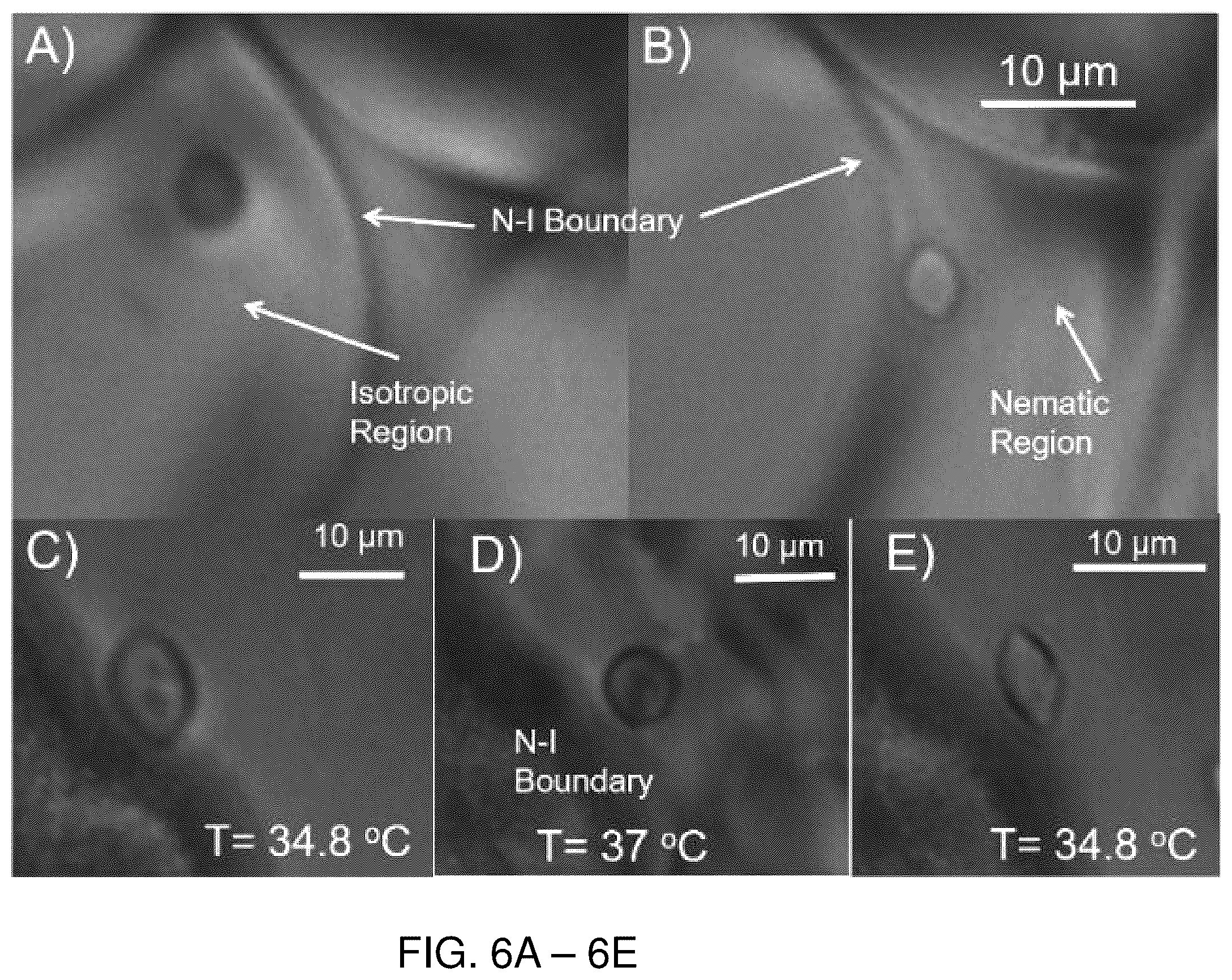 Patent US12332254 Figure 6 – Systems, compositions, and methods for evaluating biomechanical properties of cells