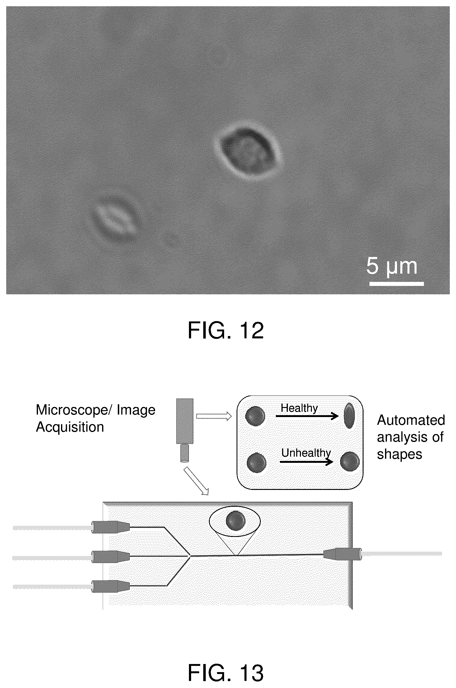 Patent US12332254 Figure 11 – Systems, compositions, and methods for evaluating biomechanical properties of cells