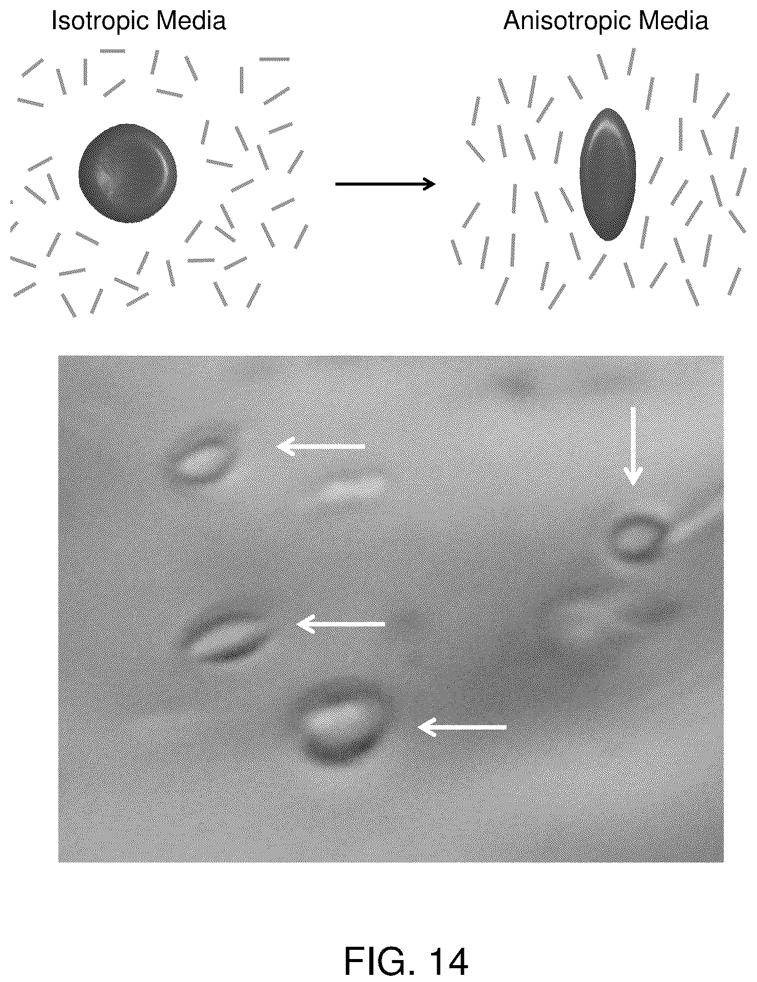 Patent US12332254 Figure 12 – Systems, compositions, and methods for evaluating biomechanical properties of cells