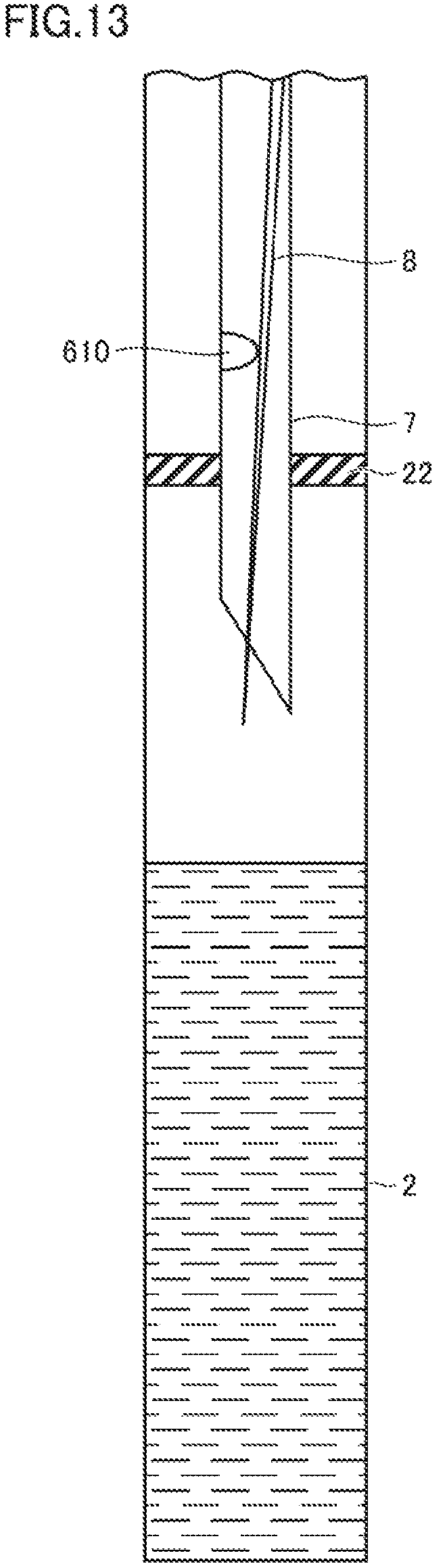 Patent US12332267 Figure 13 – Biochemical analysis apparatus and biochemical analysis method