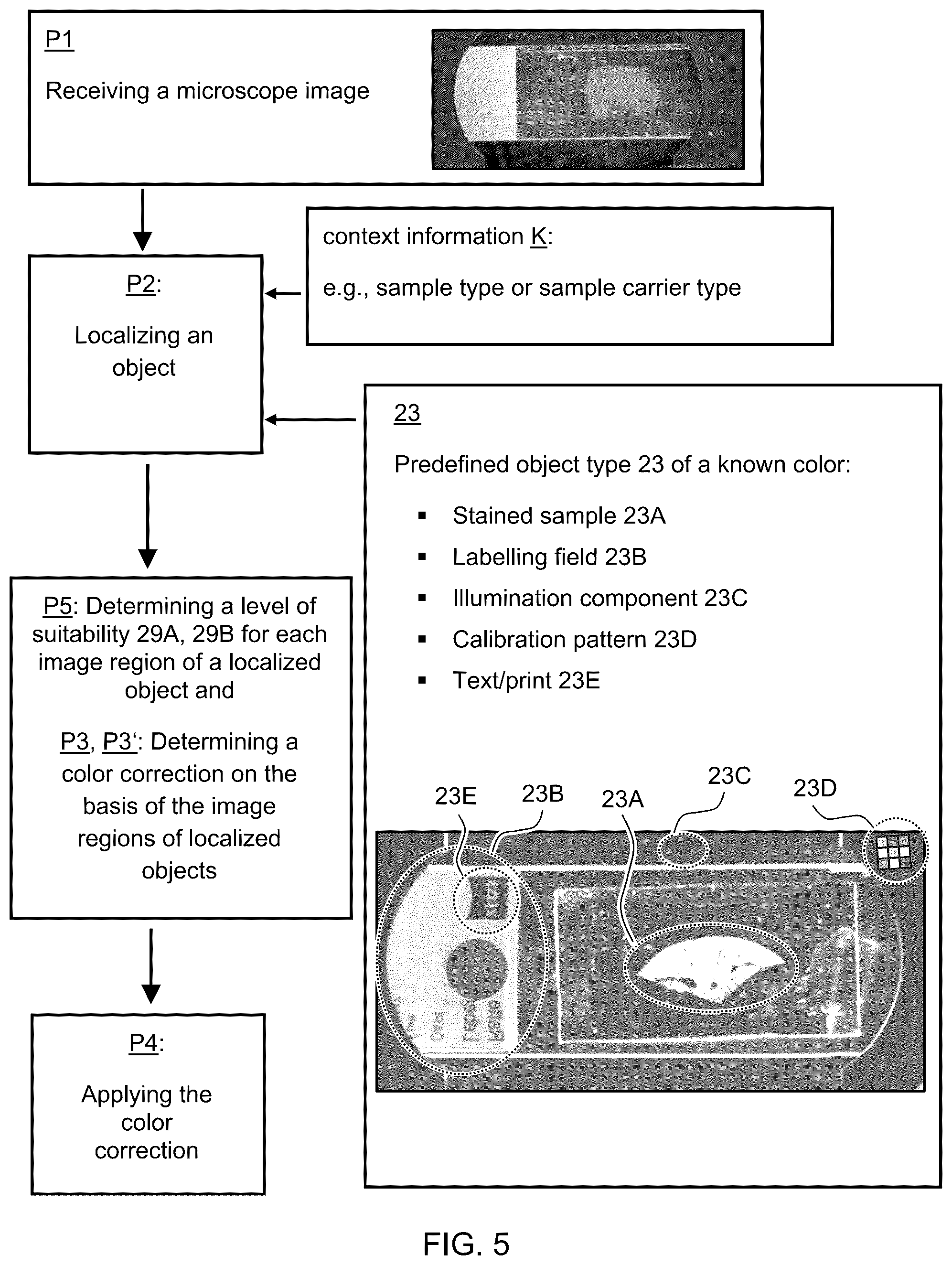 Patent US12332421 Figure 5 – Microscopy system and method for the color correction of microscope images