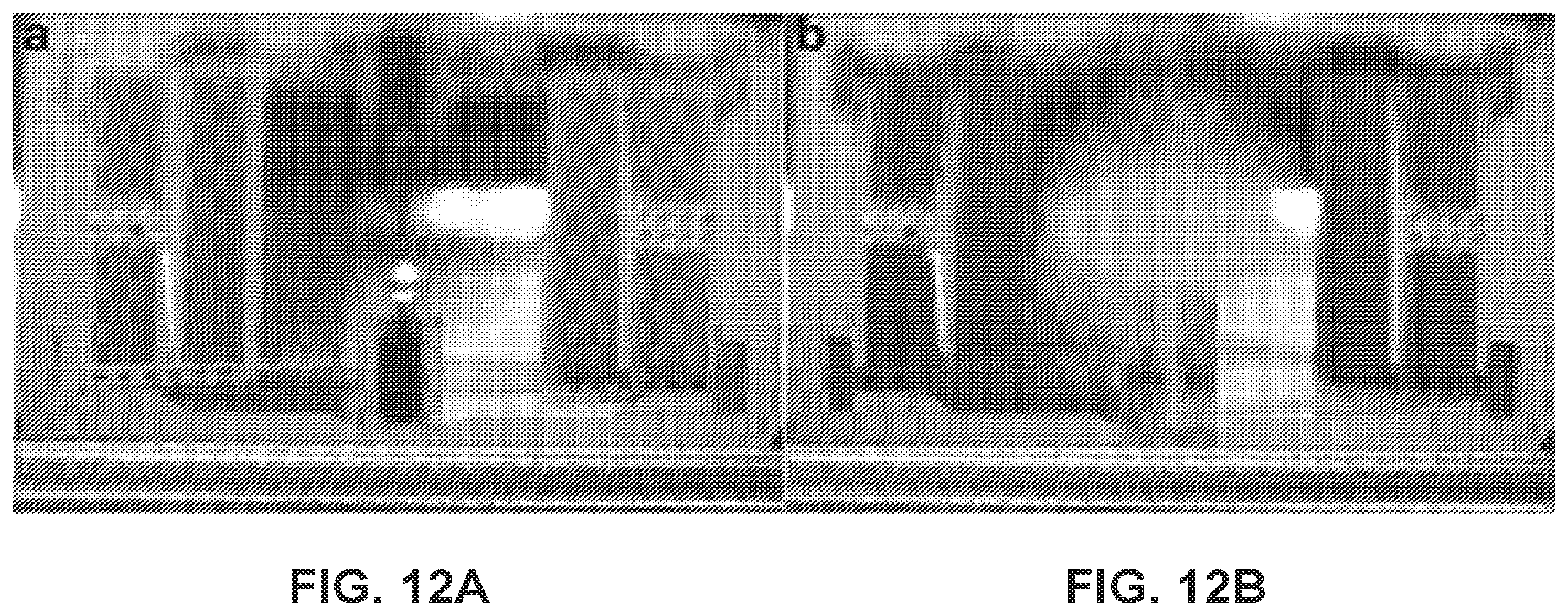 Patent US12332428 Figure 10 – Comb-driven MEMS resonant scanner with full-circumferential range and large out-of-plane translational displacement