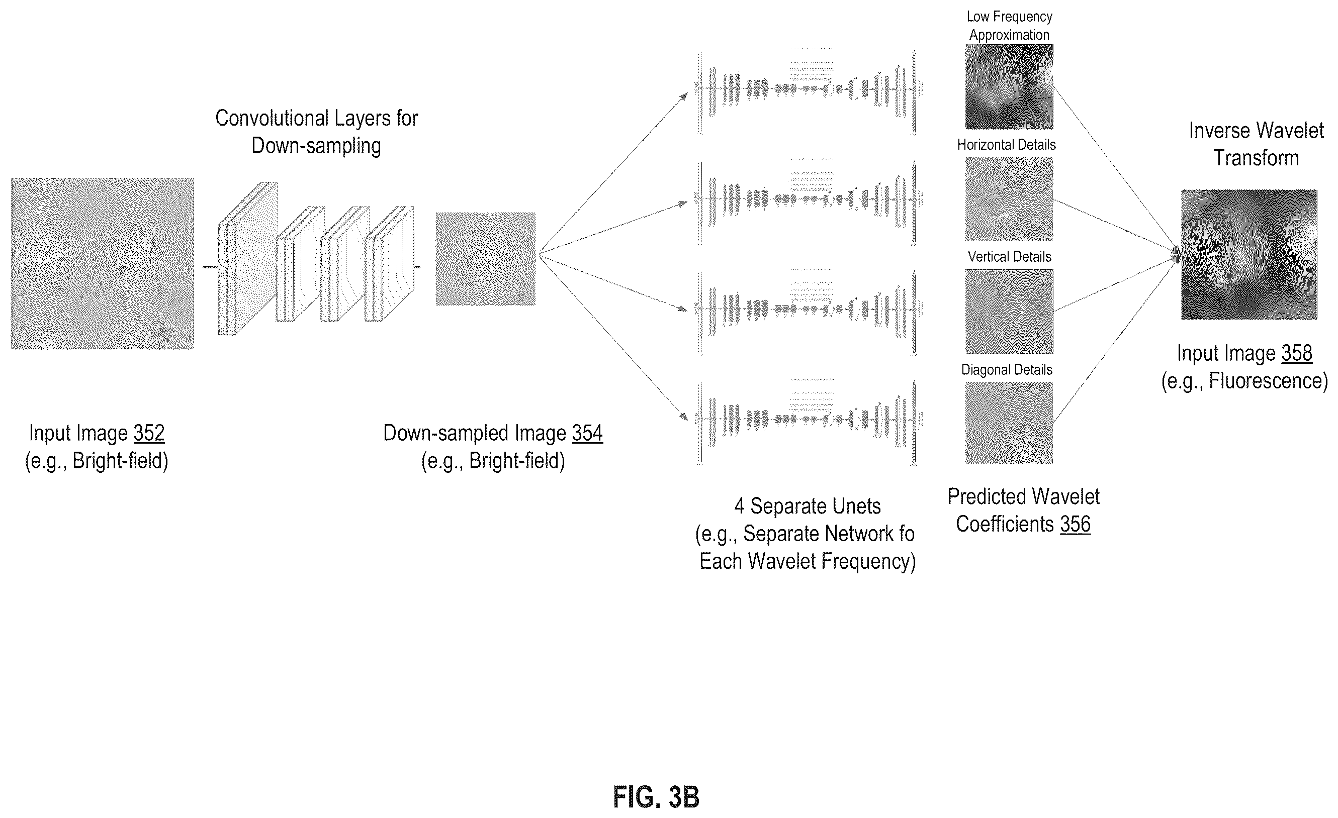 Patent US12332970 Figure 5 – Biological image transformation using machine-learning models