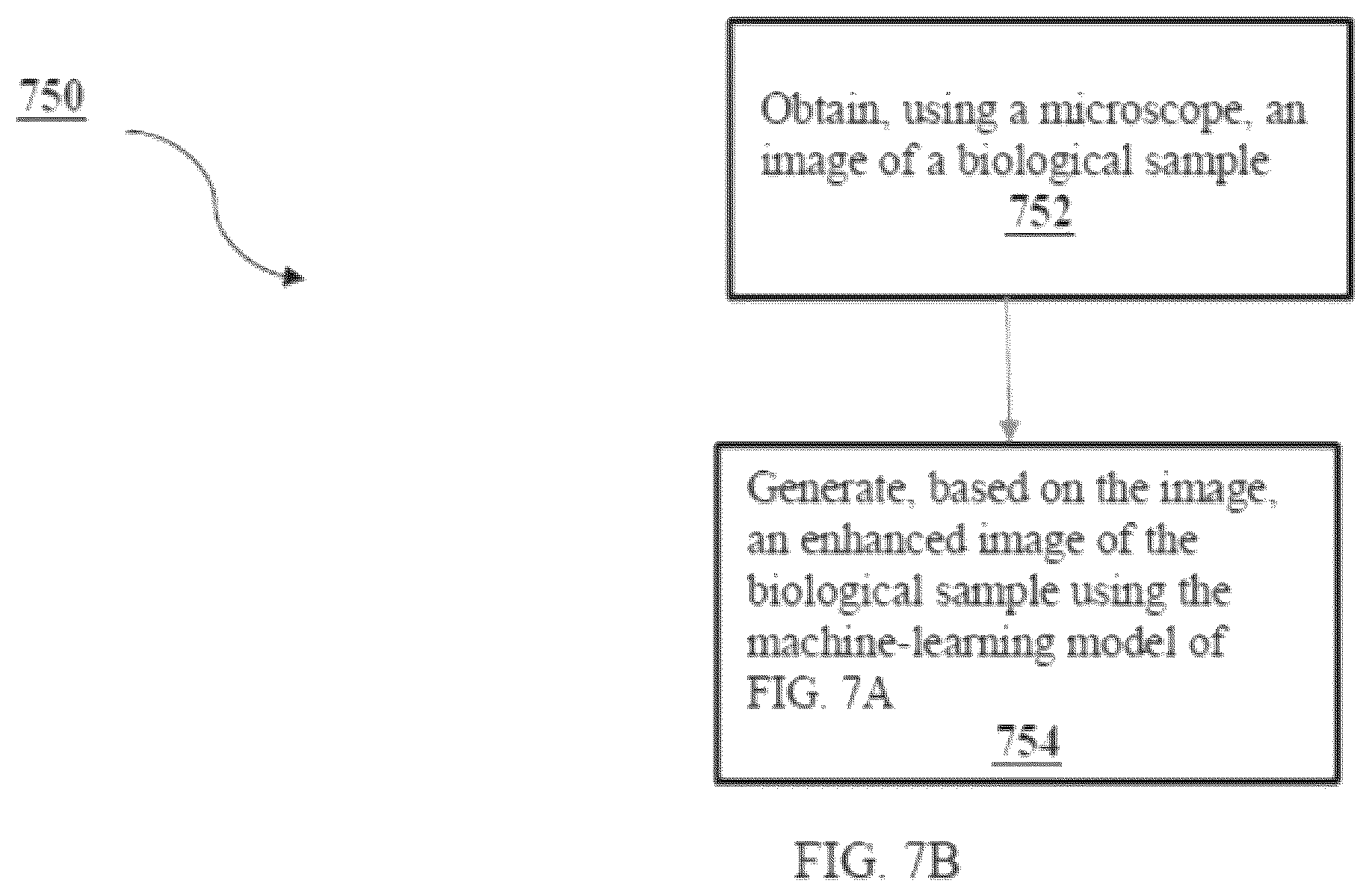Patent US12332970 Figure 13 – Biological image transformation using machine-learning models