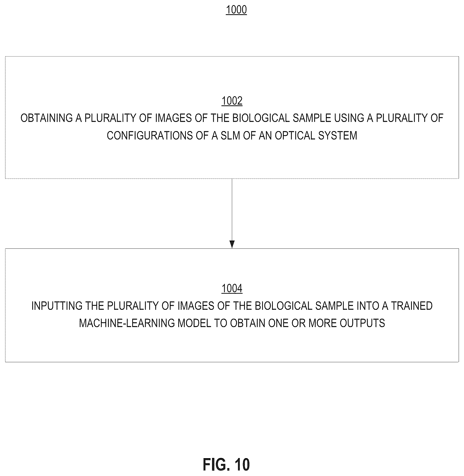 Patent US12332970 Figure 16 – Biological image transformation using machine-learning models