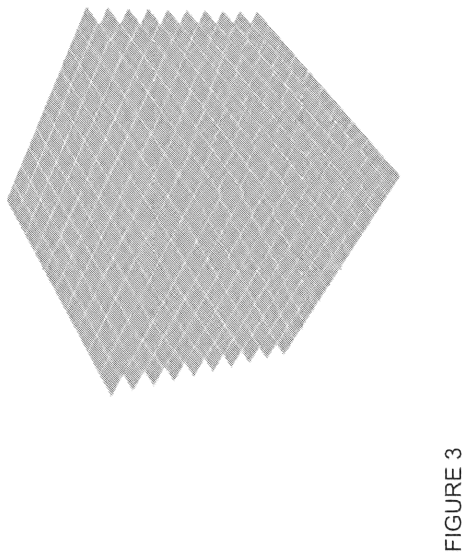 Patent US12333652 Figure 3 – Method for generating a 3D printable model of a patient specific anatomy