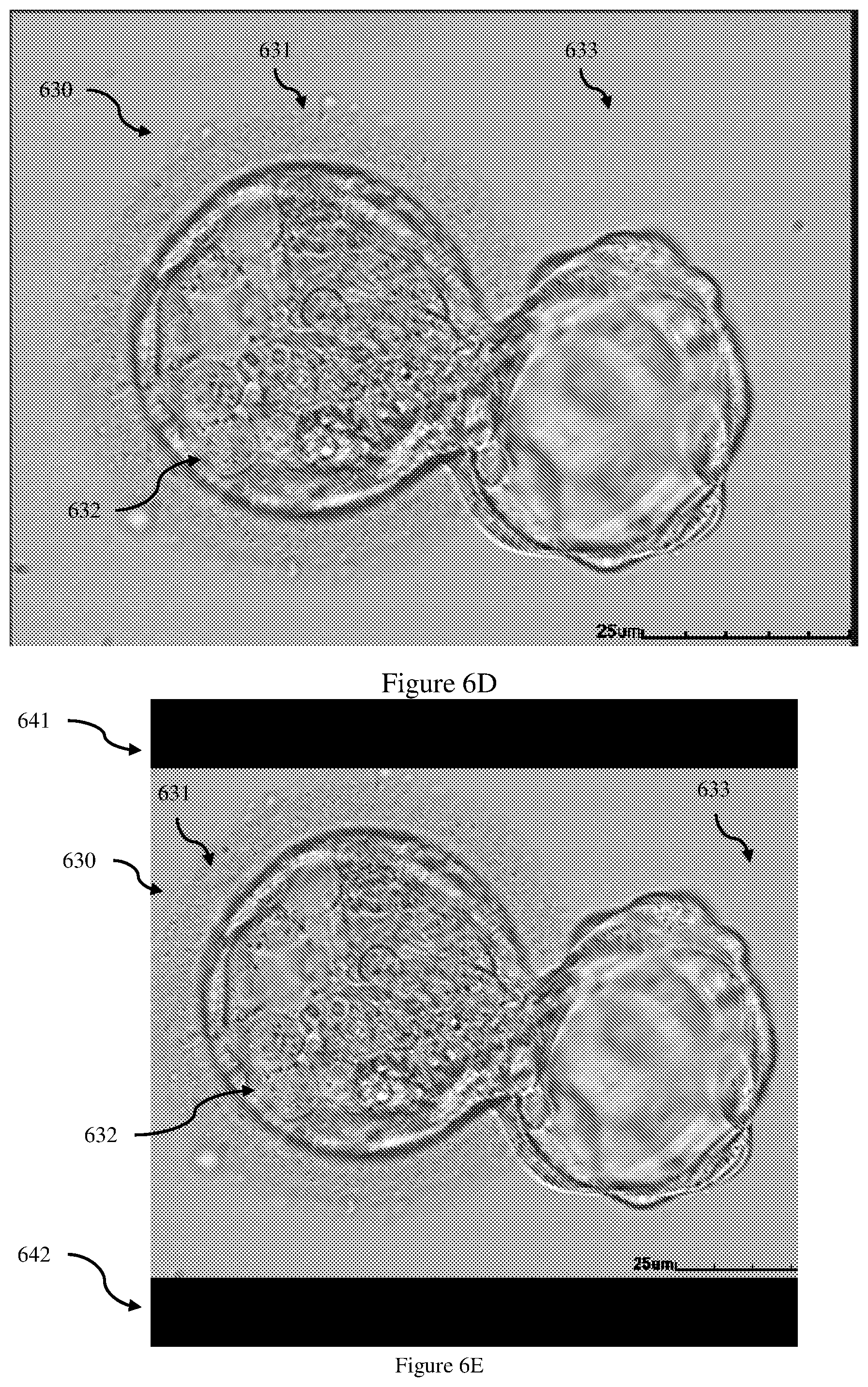 Patent US12333715 Figure 8 – Method and system for selecting embryos